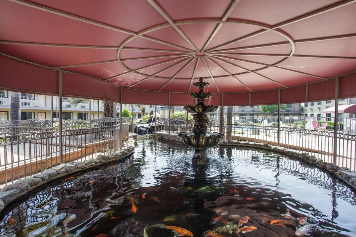 children's play area
