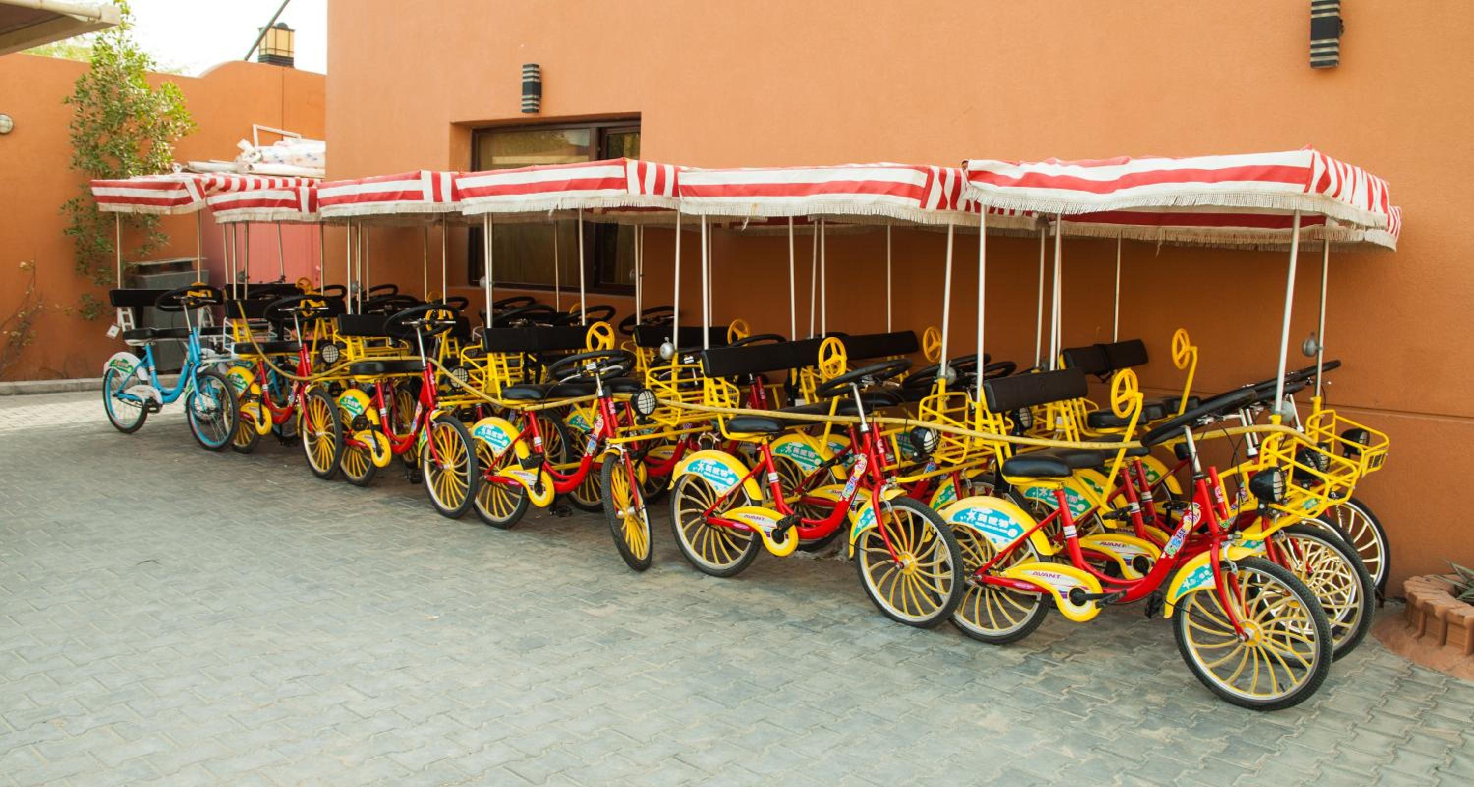 activities & amenities