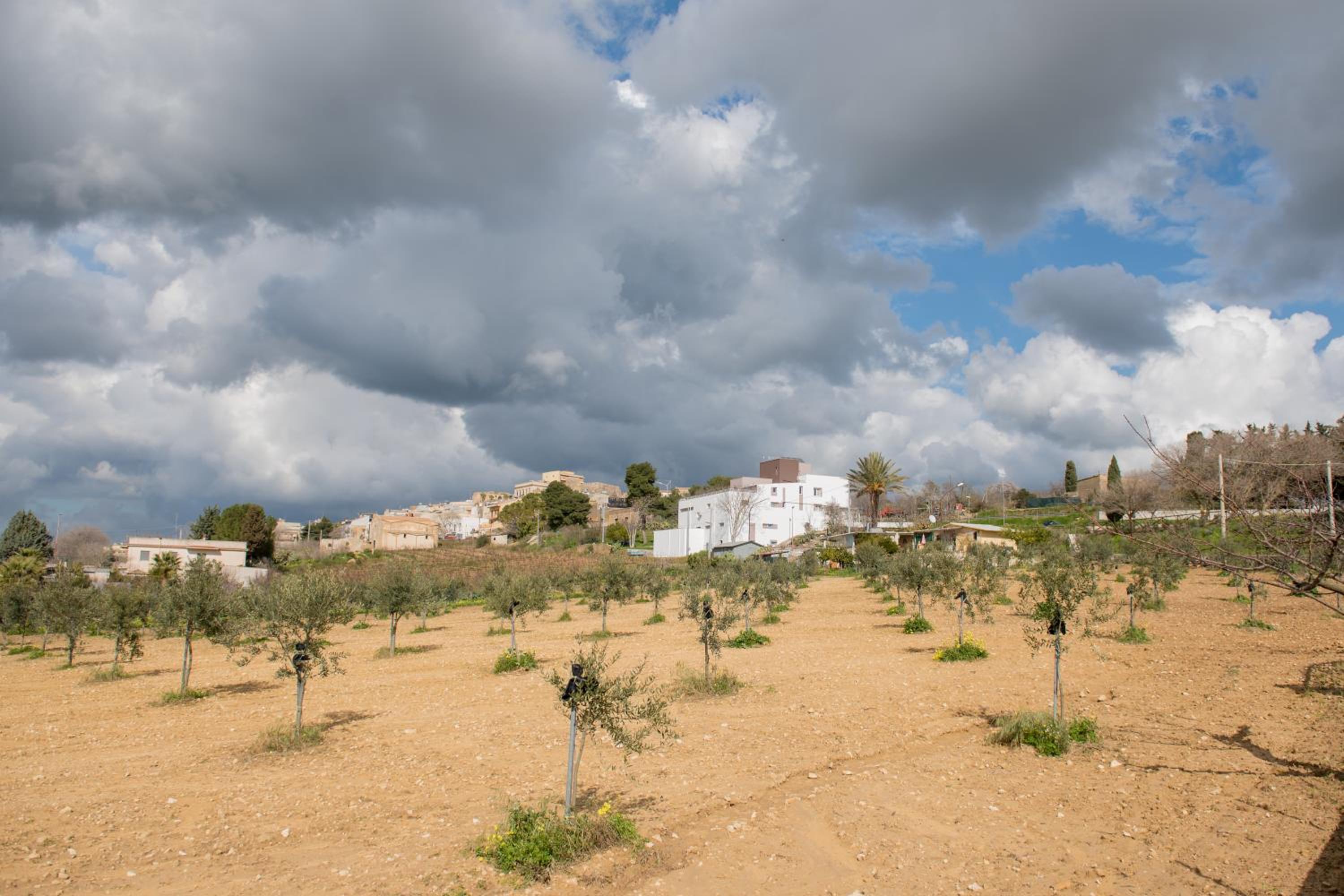 La Terrazza di Harmakhis