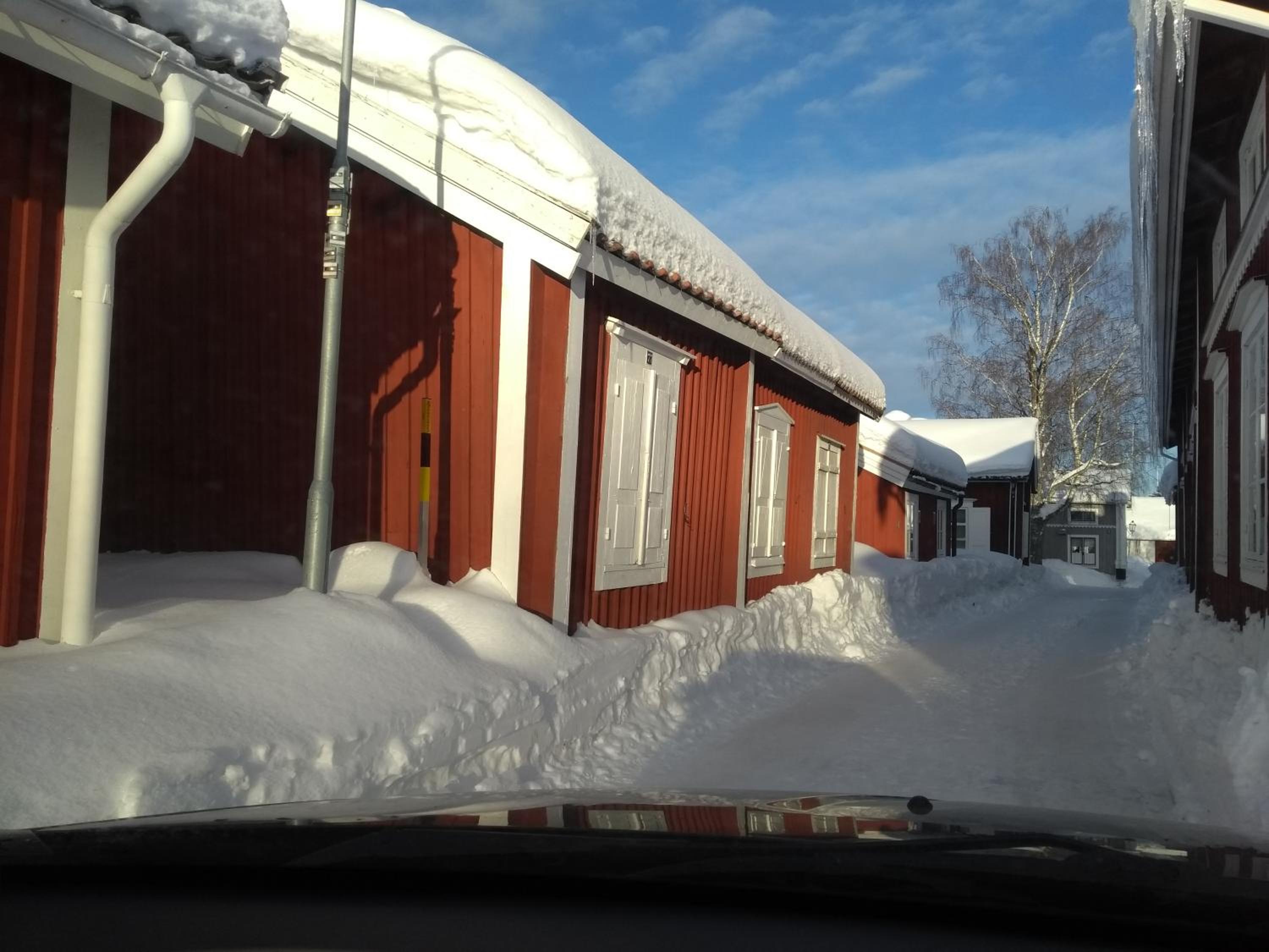 Photo 41