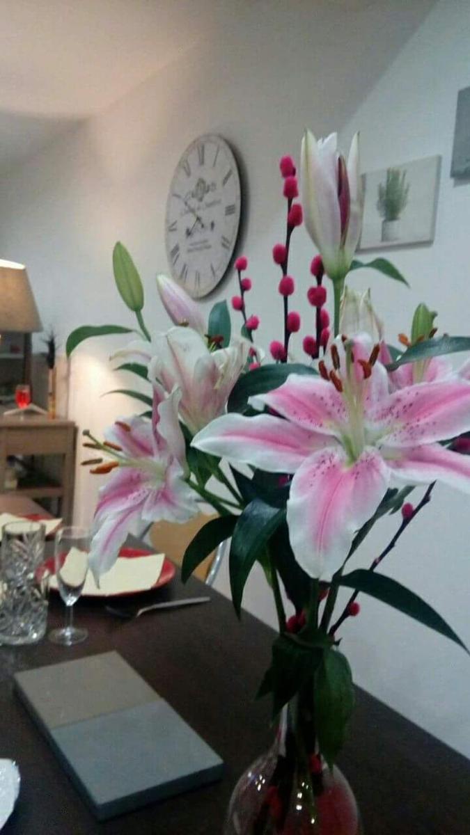 Rodez Vacations - Les Chambres Hautes d'Anastasia - Property Image 16
