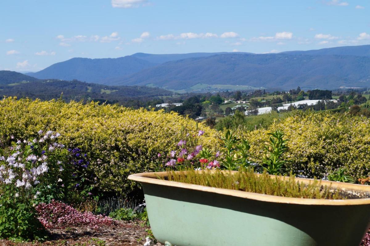 Eagle's View Cottage - Yarra Valley