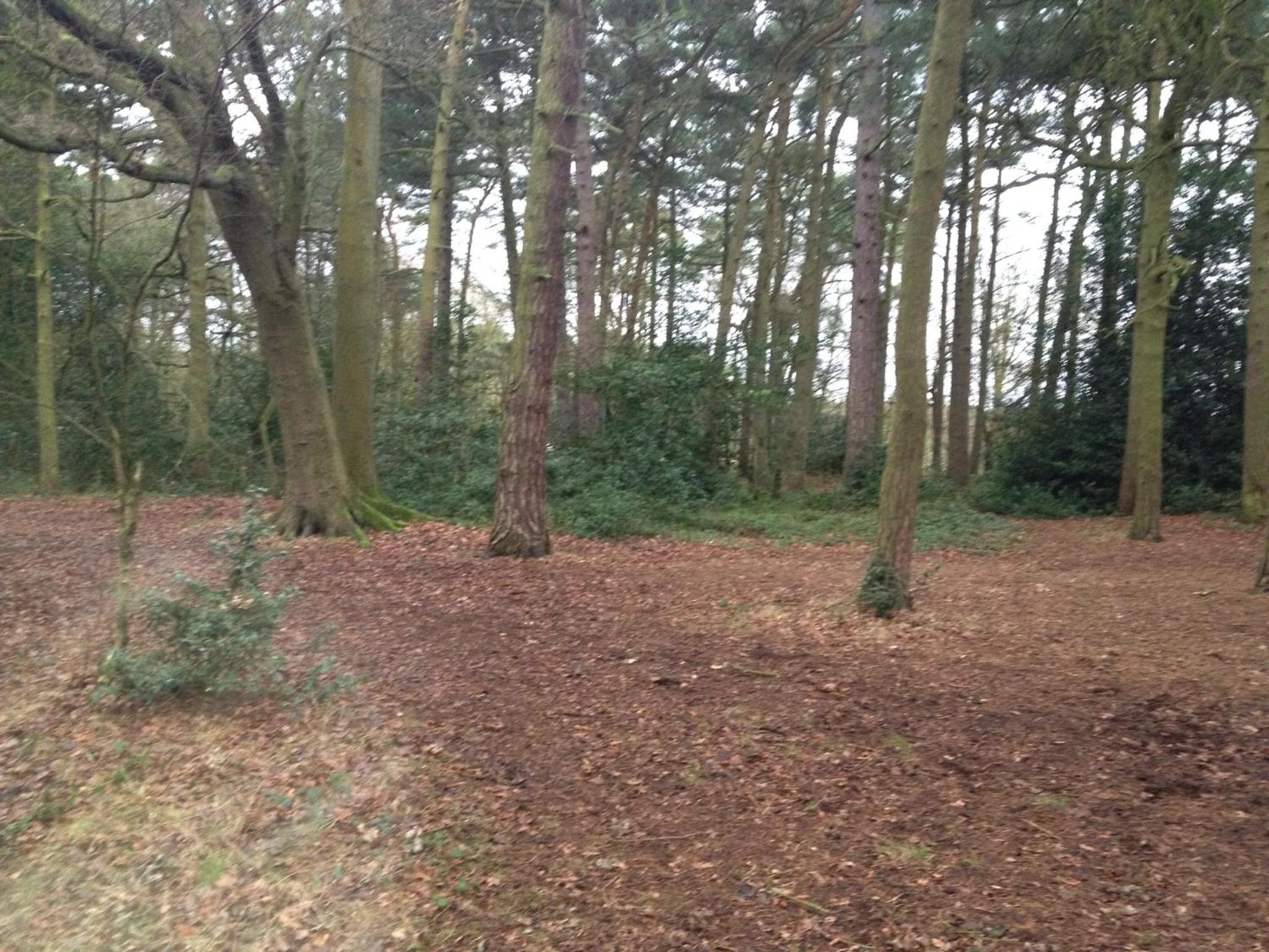 Photo 16