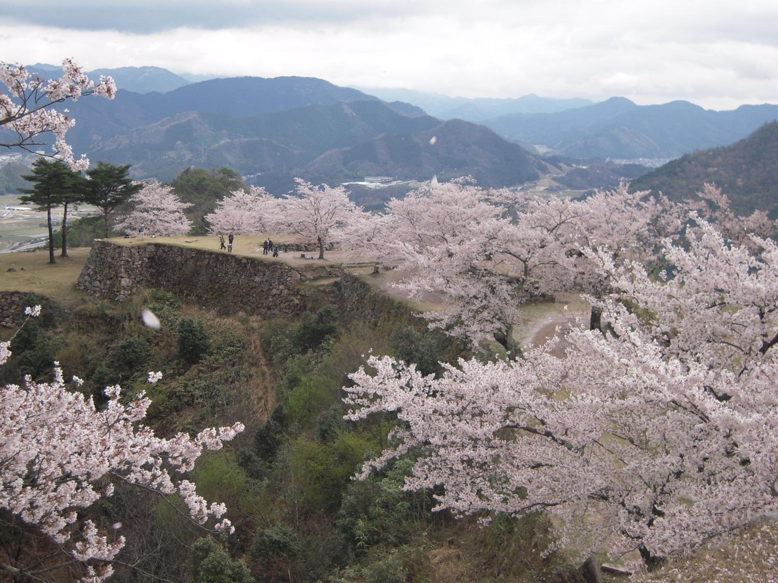 Photo 40