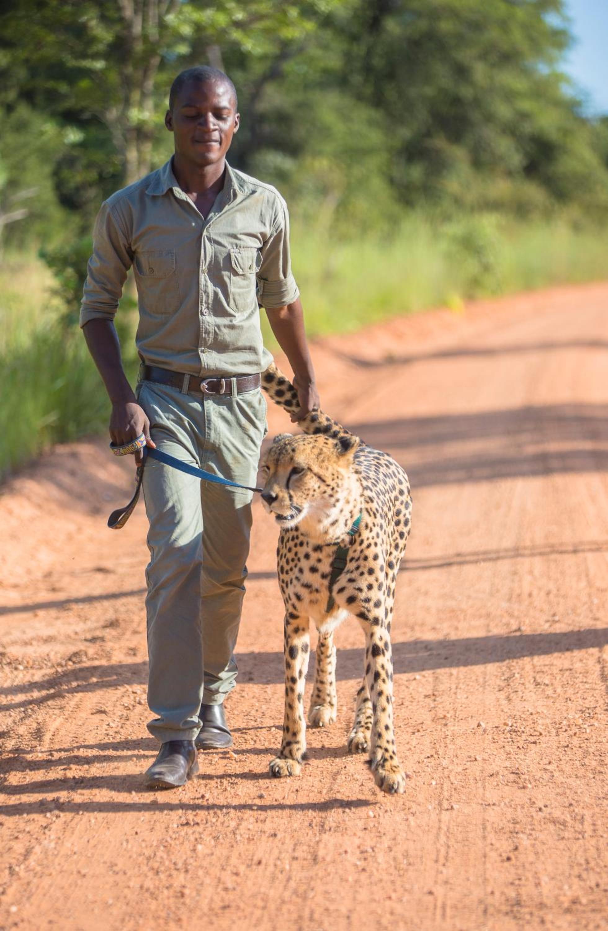 Chaminuka Lodge