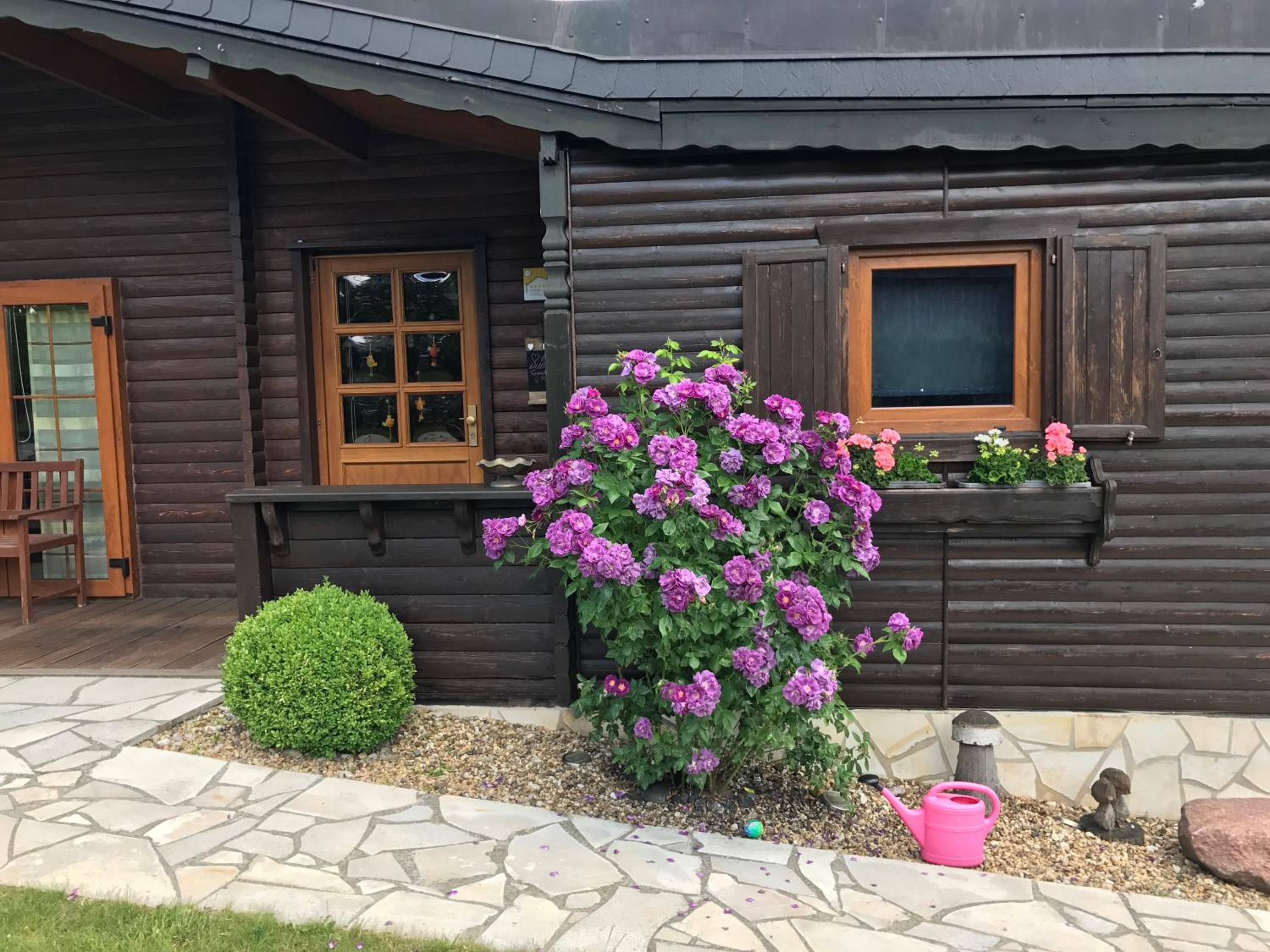 Holzhaus Harz view 5