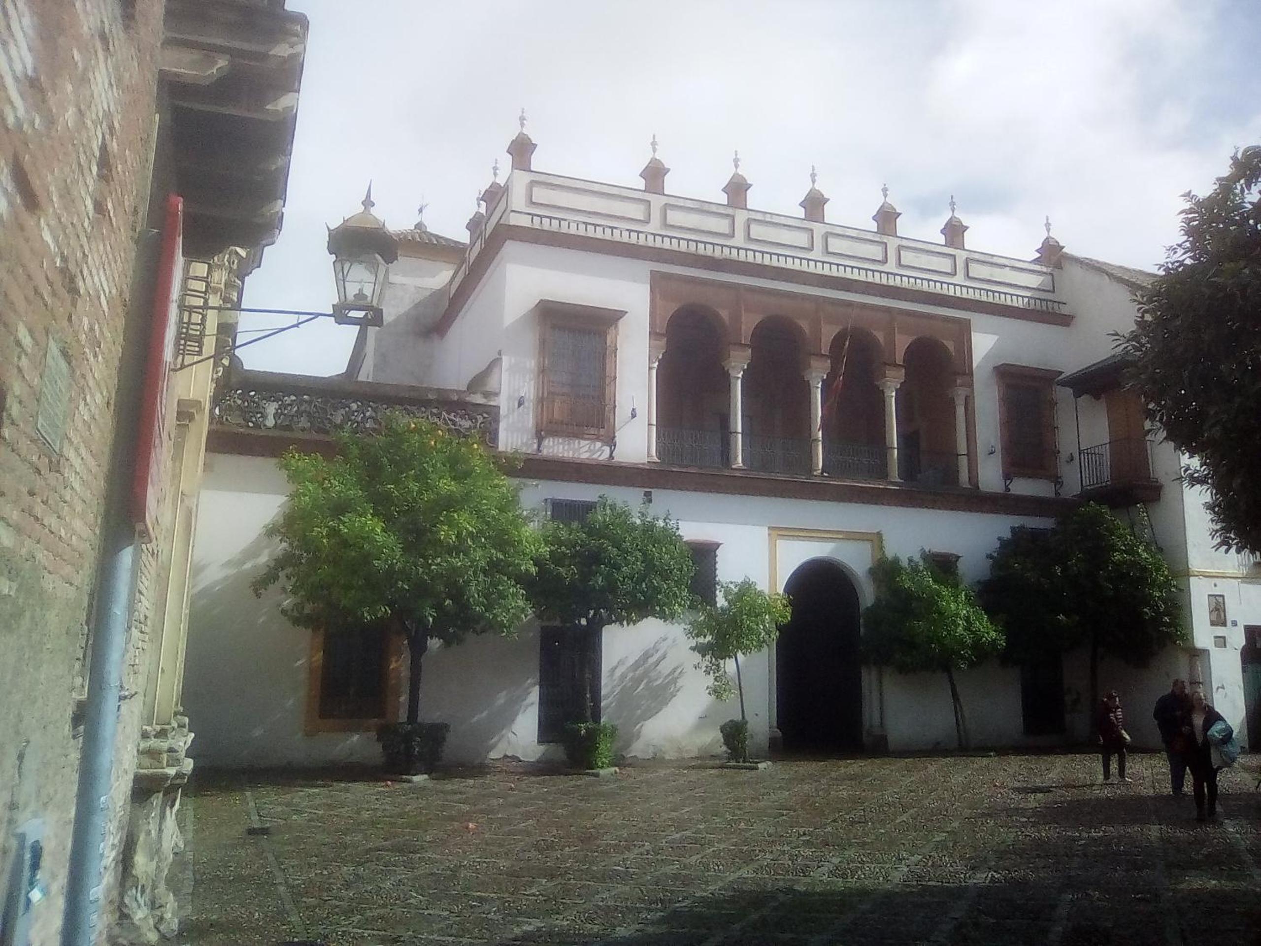 Photo 26