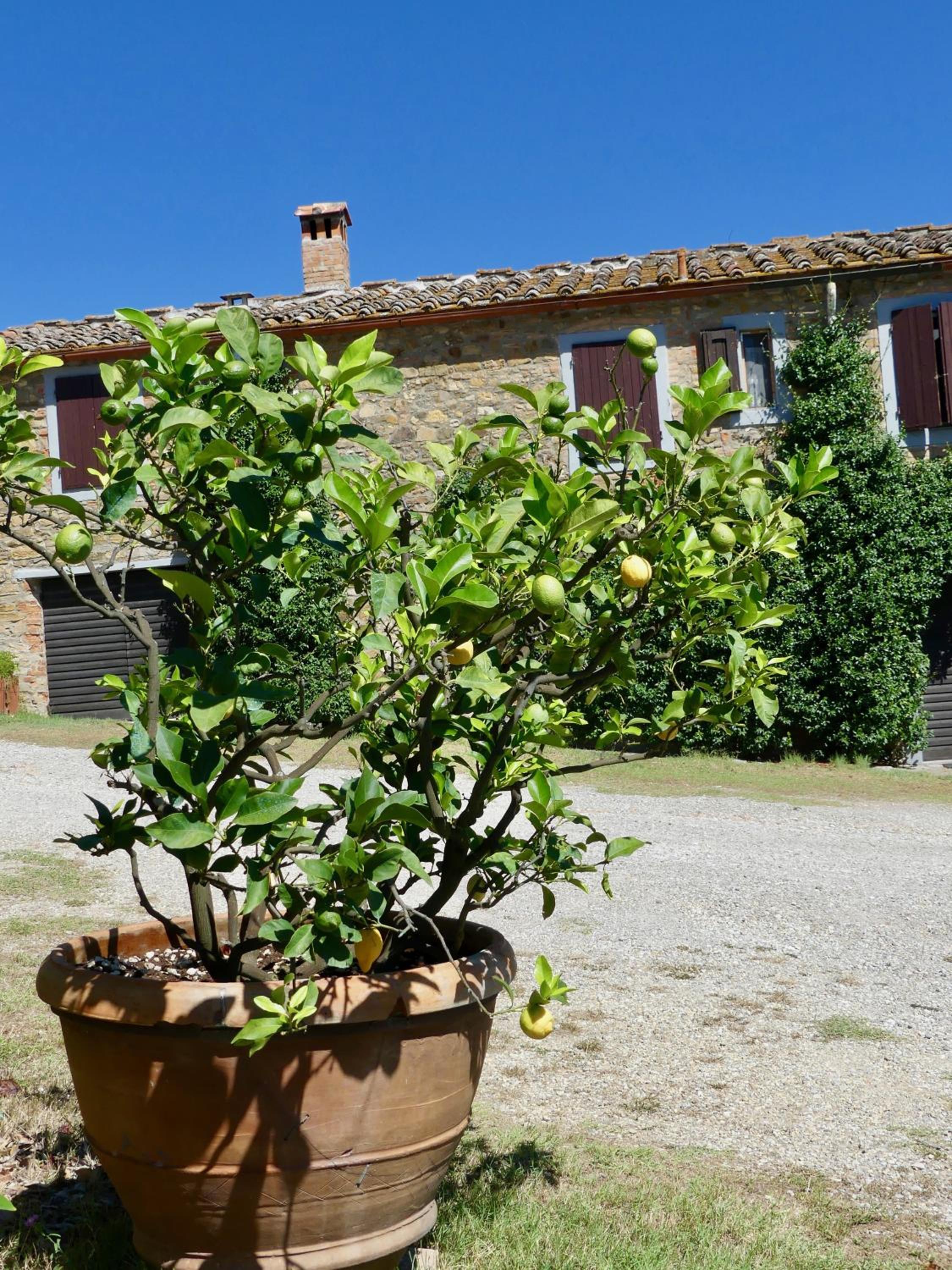 Due Piani