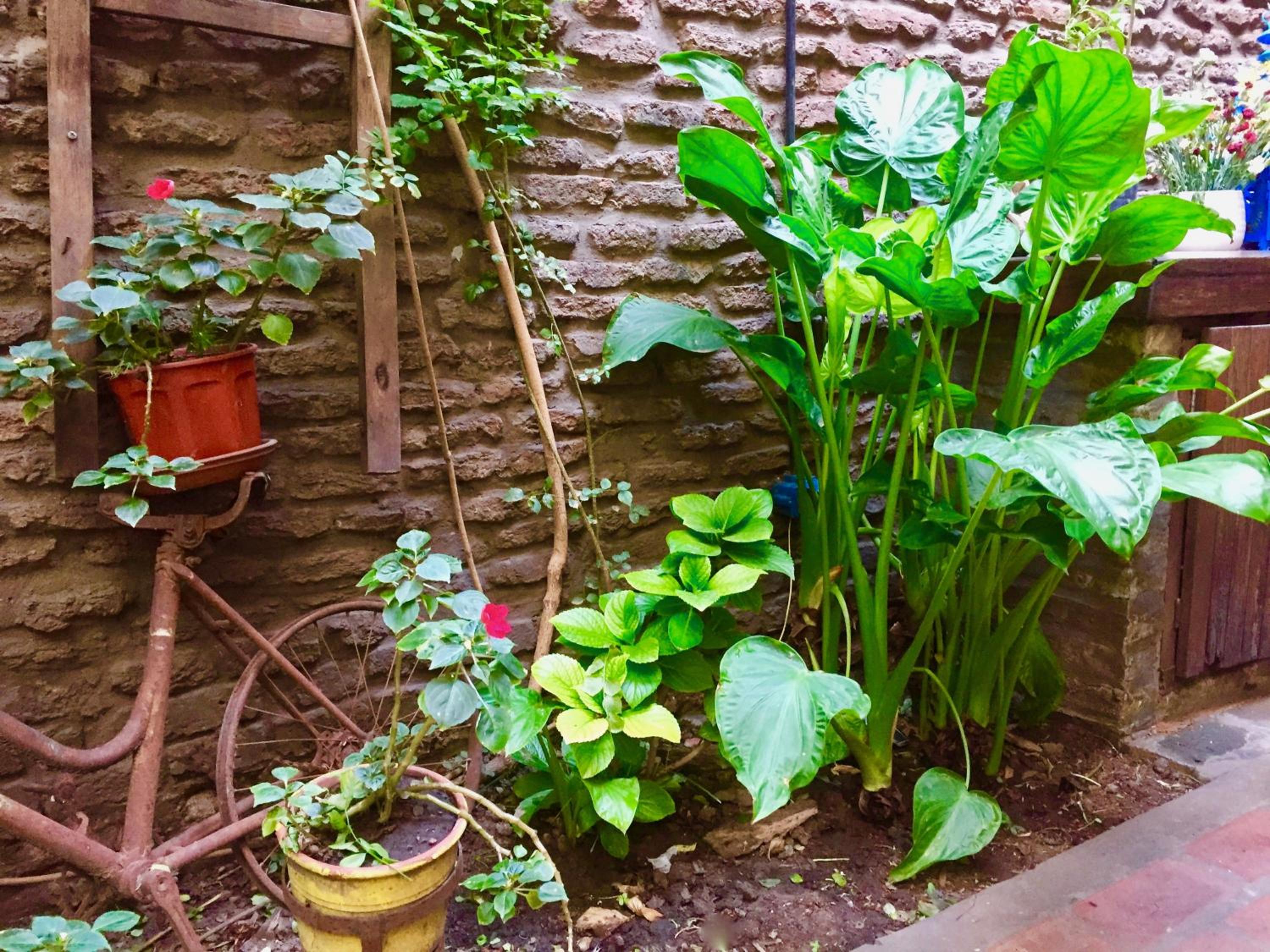 Lina's Tango Guesthouse