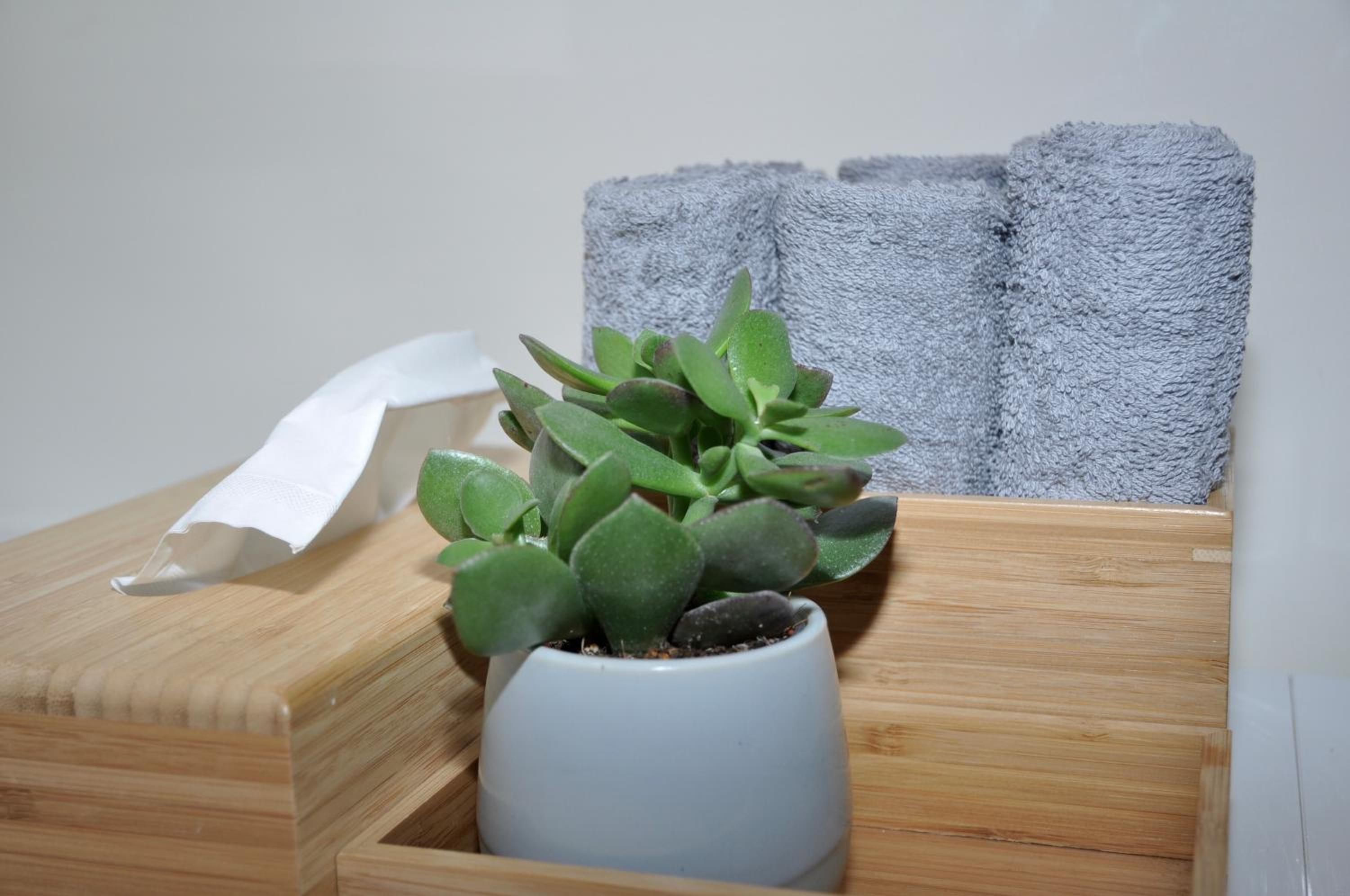 Apartment Ischl Home
