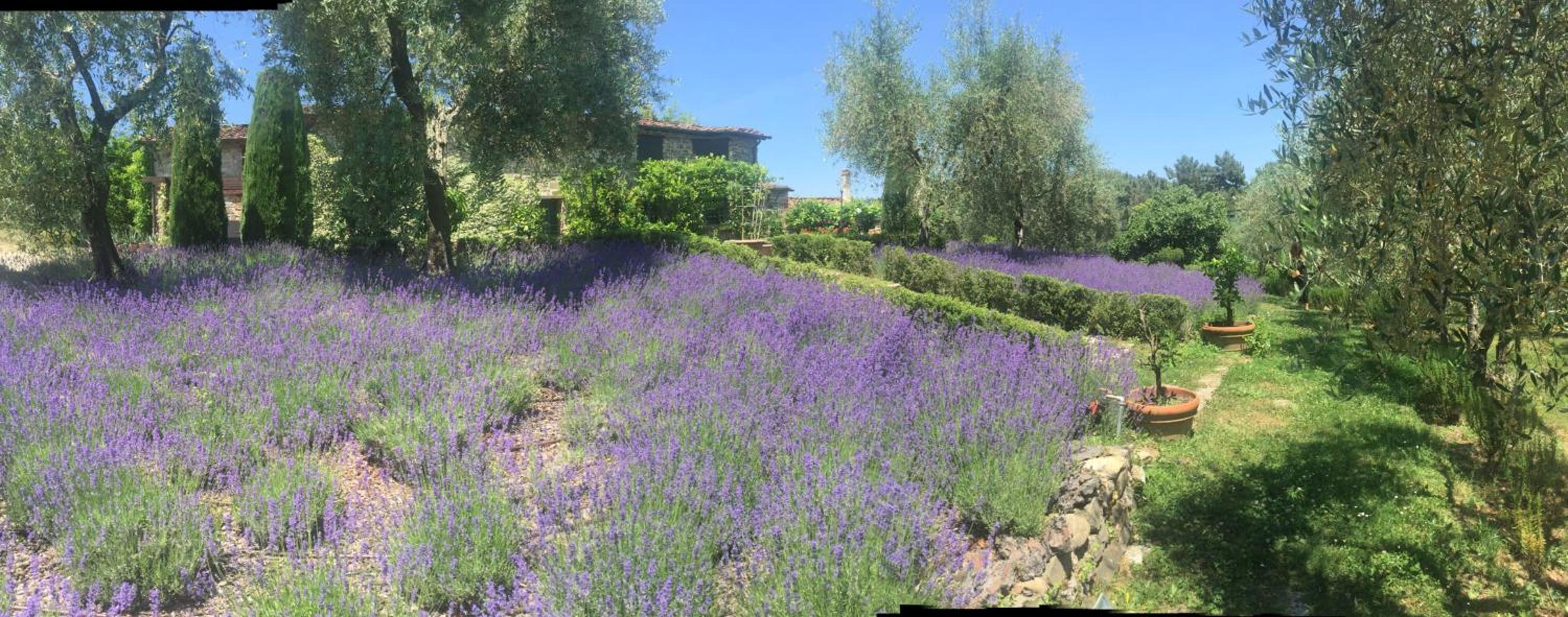 Macennere by Salogi Villas view 5