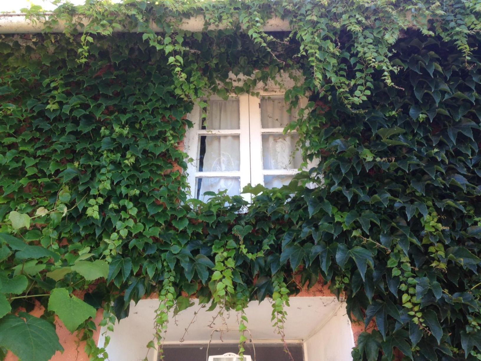 Casa Lourido view 5