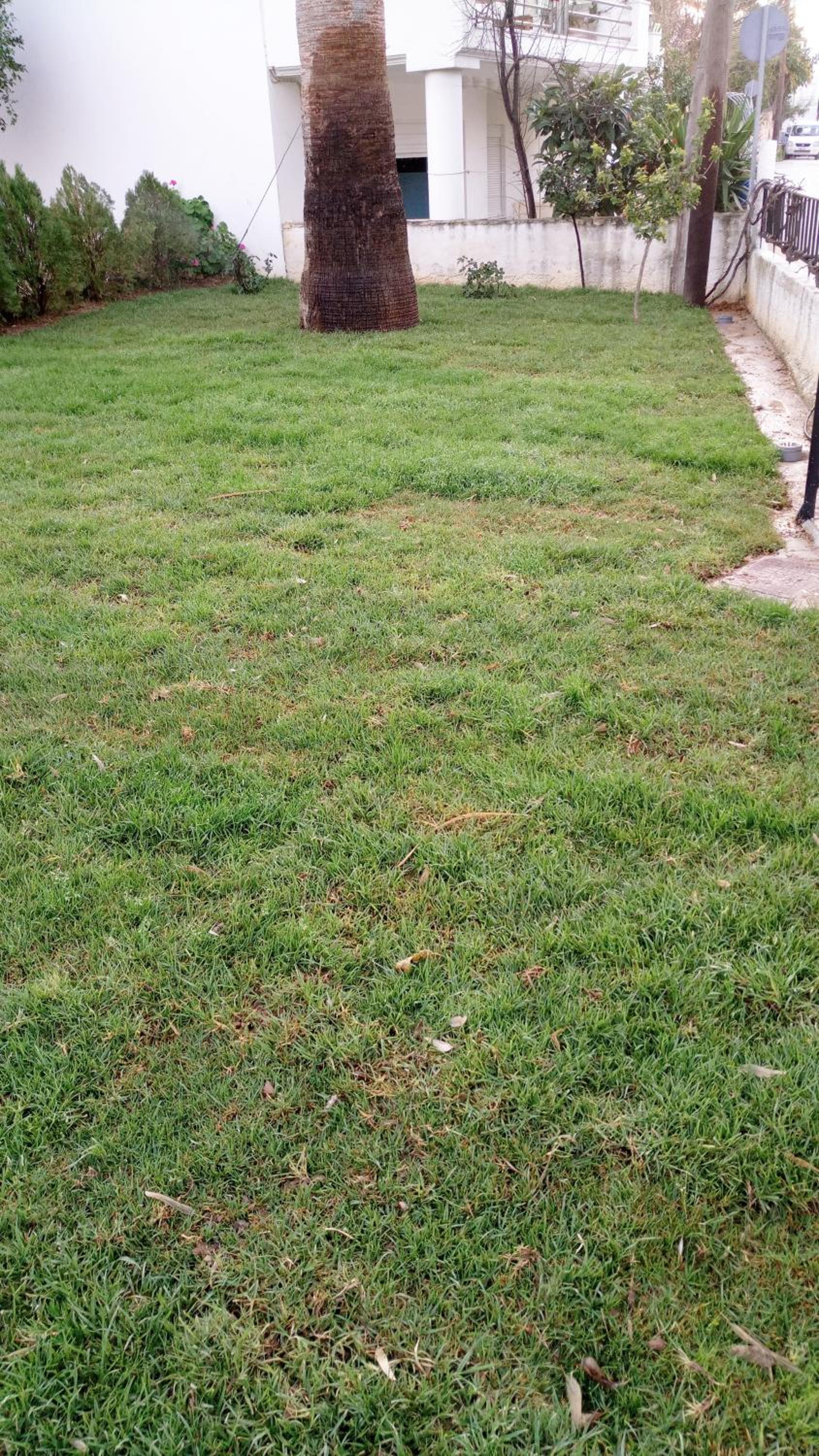 Zinovia