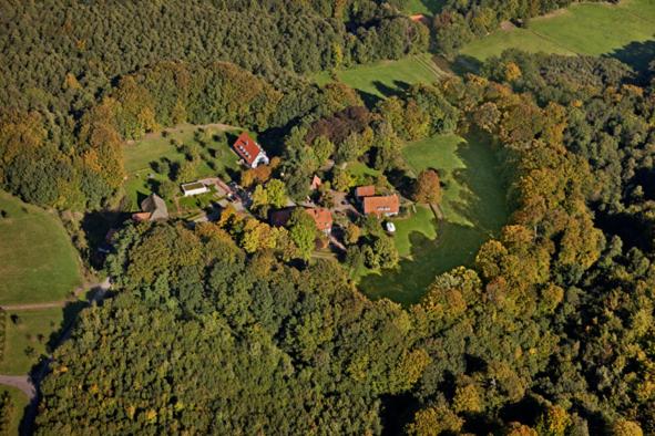 Forsthaus Heiligenberg - Property Image 11