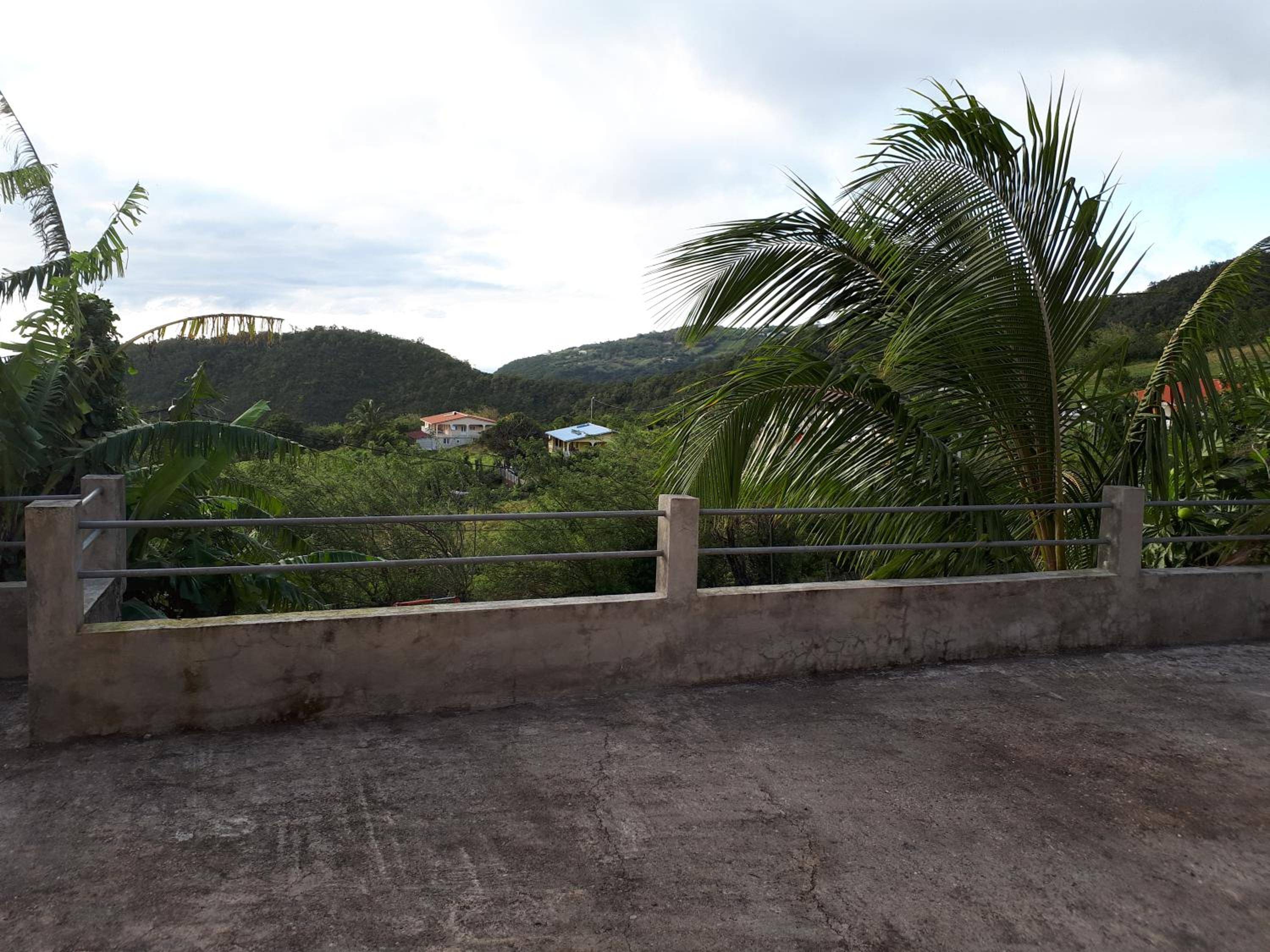Photo 44