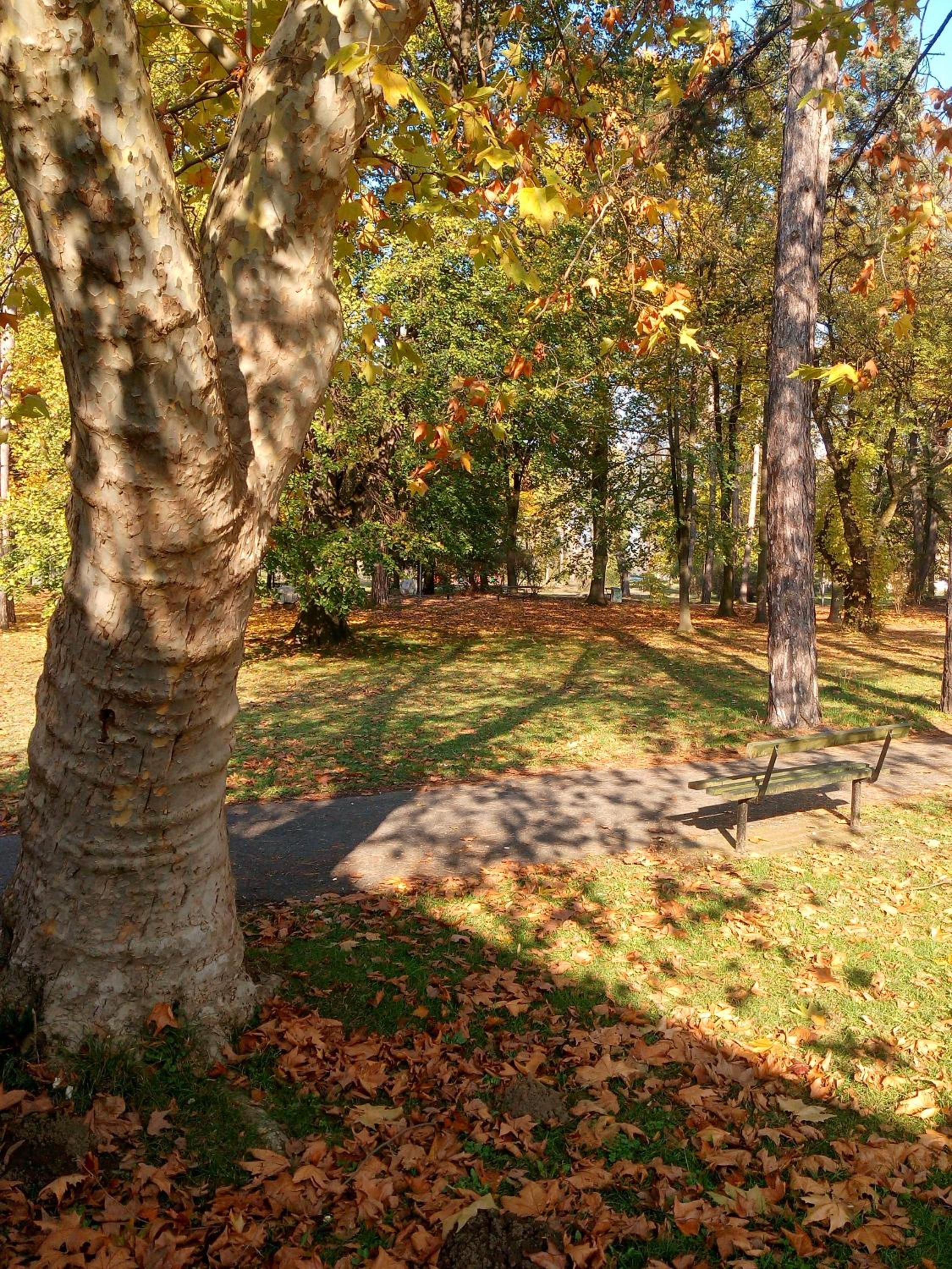 Photo 42