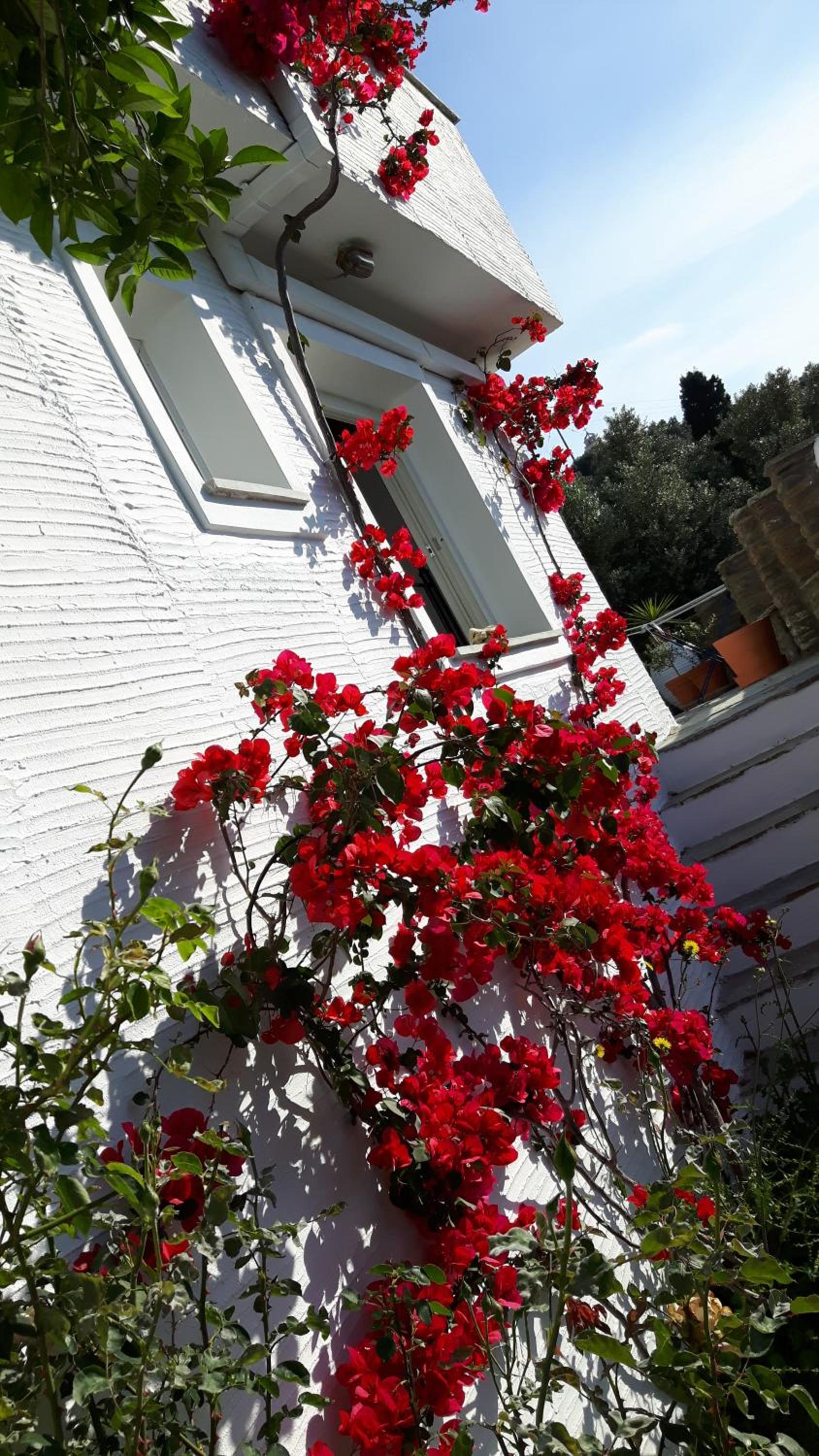 Photo 33