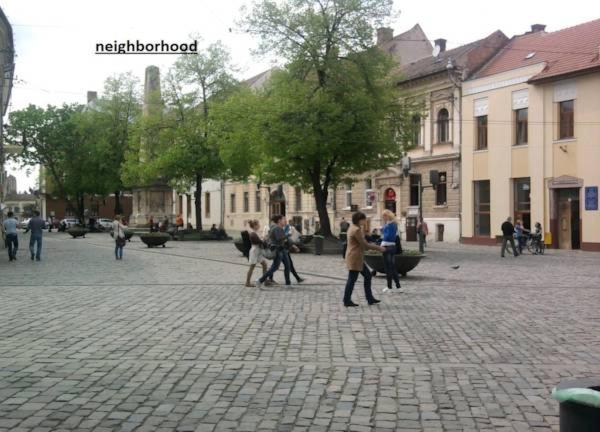 Photo 51
