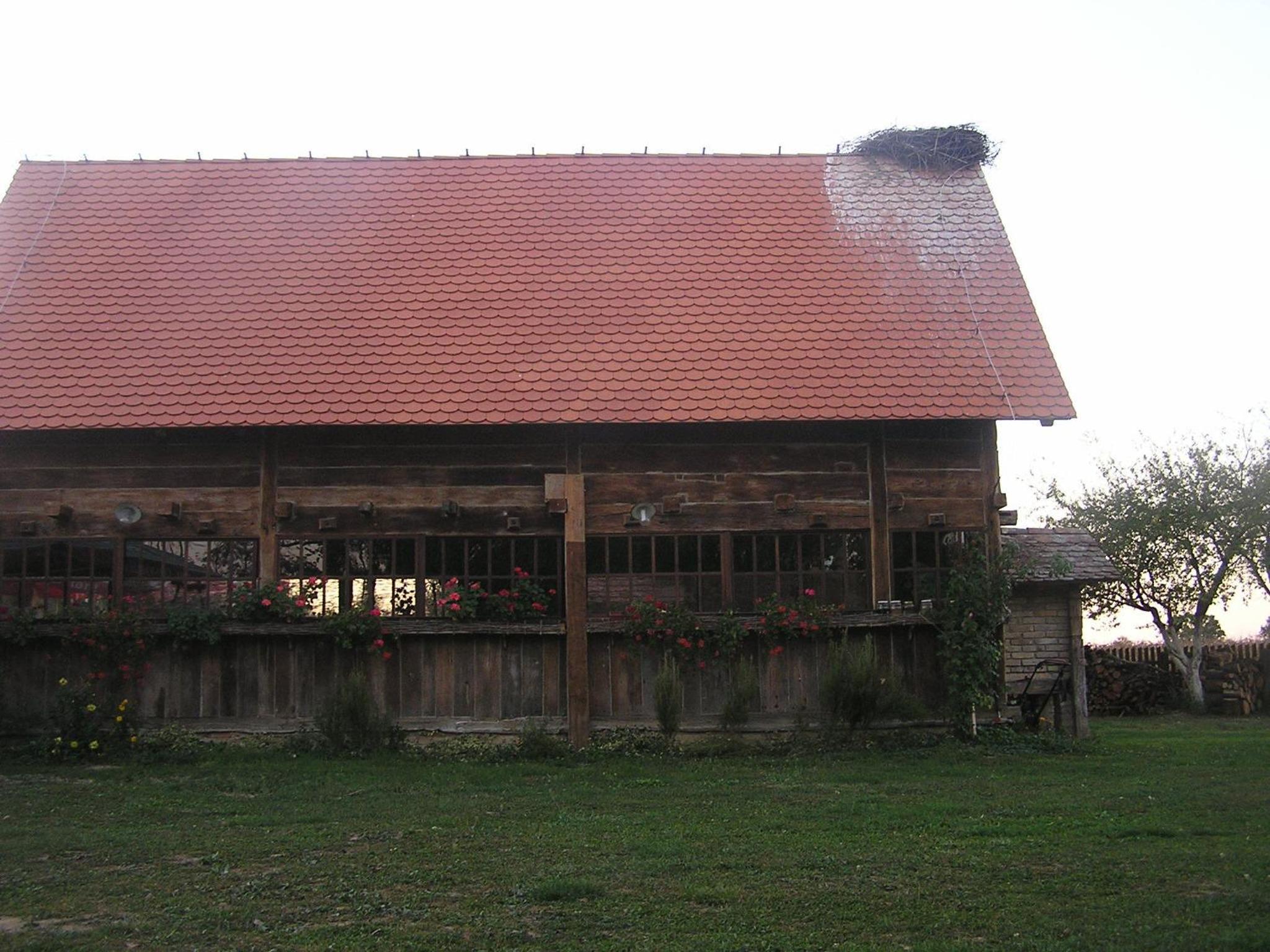 Tradicije Cigoc