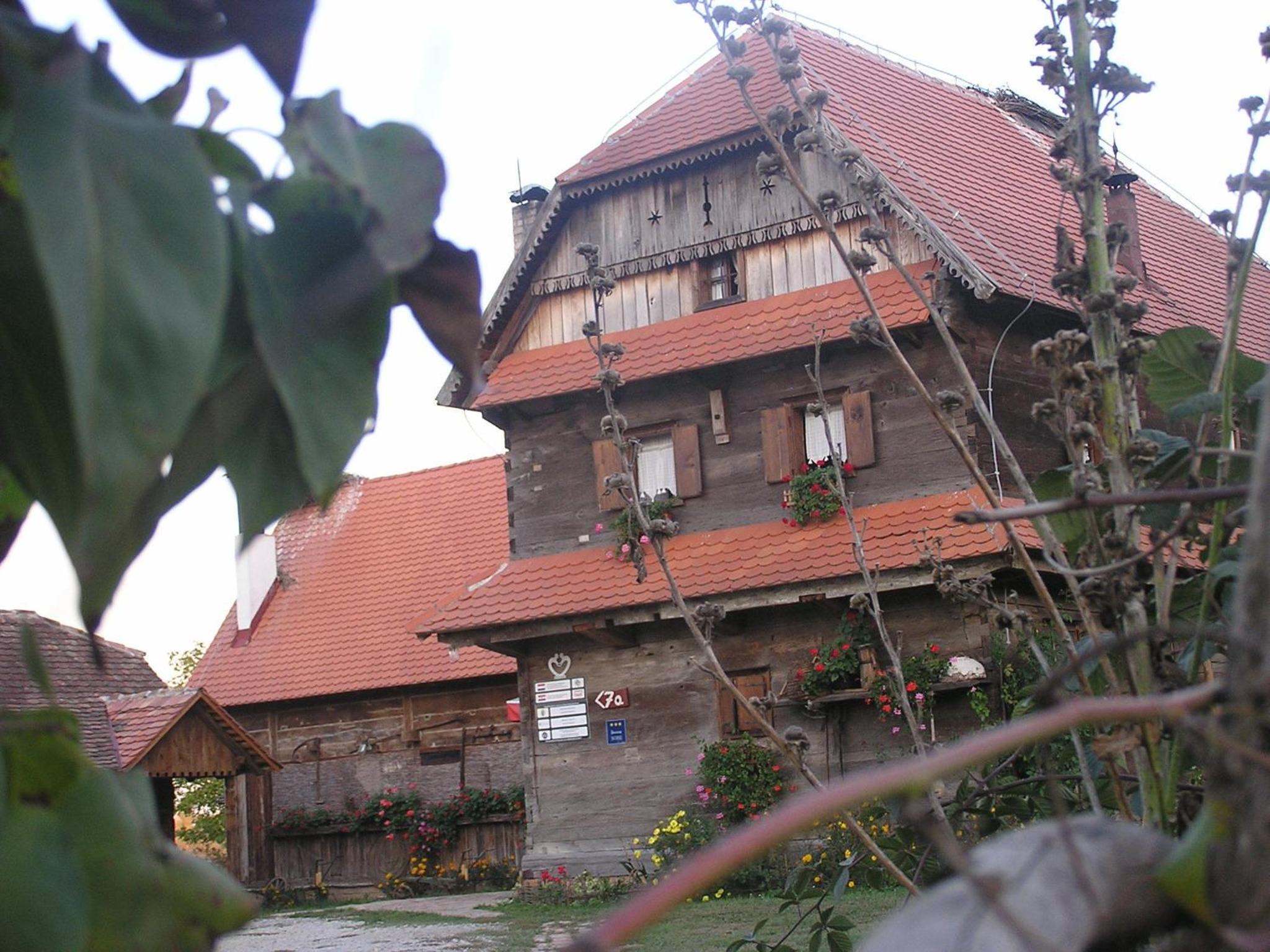 Tradicije Cigoc