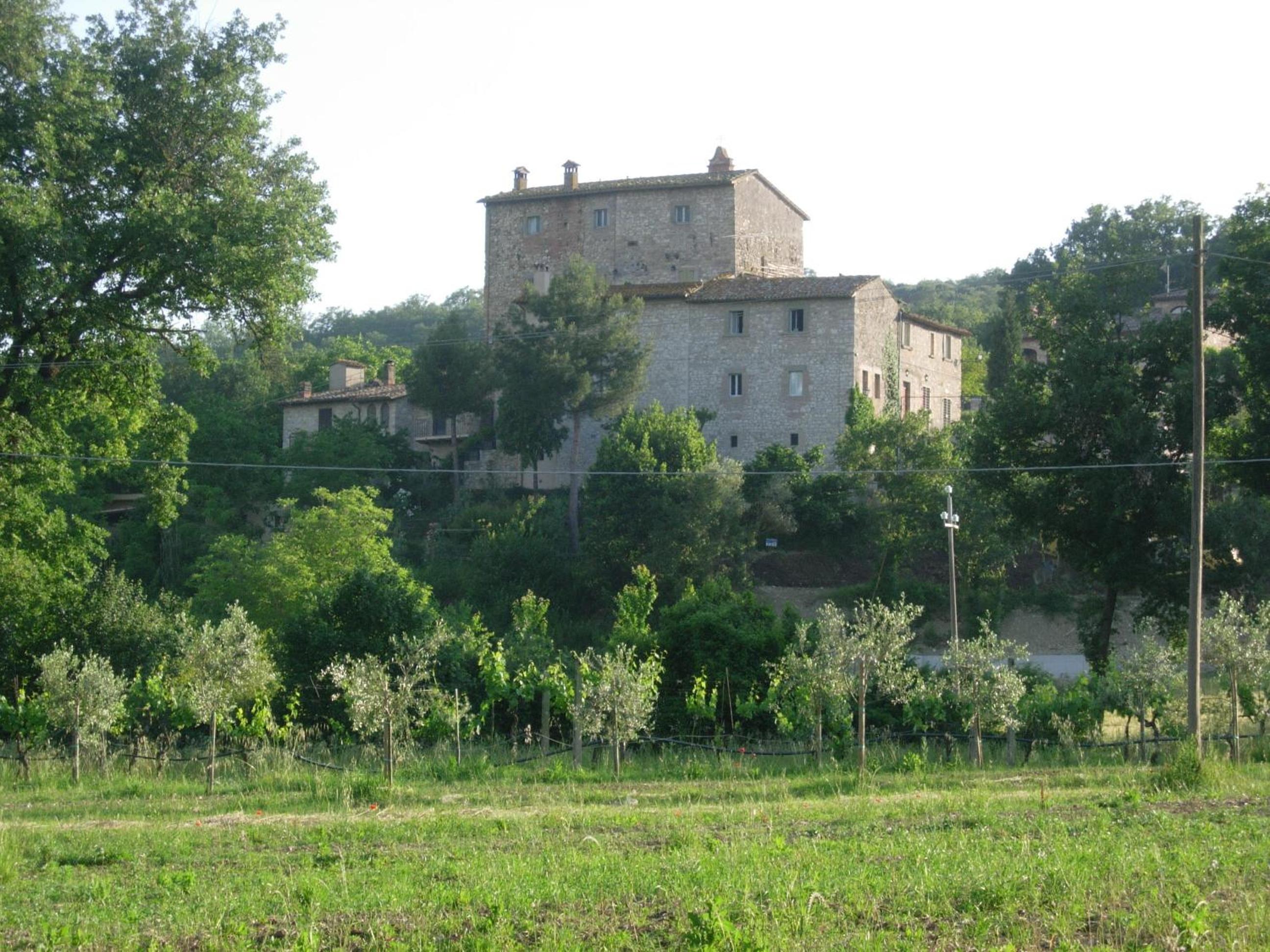 Photo 19