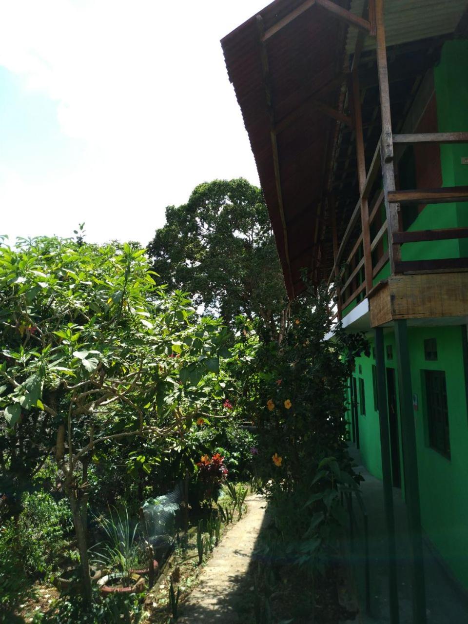 Photo 19