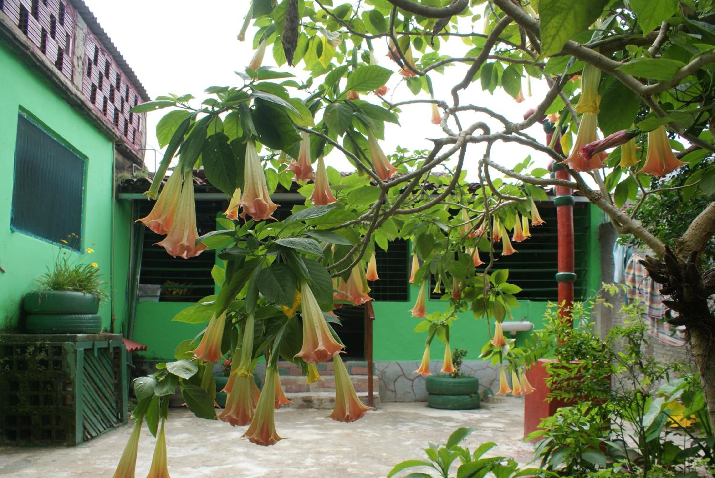 Photo 21