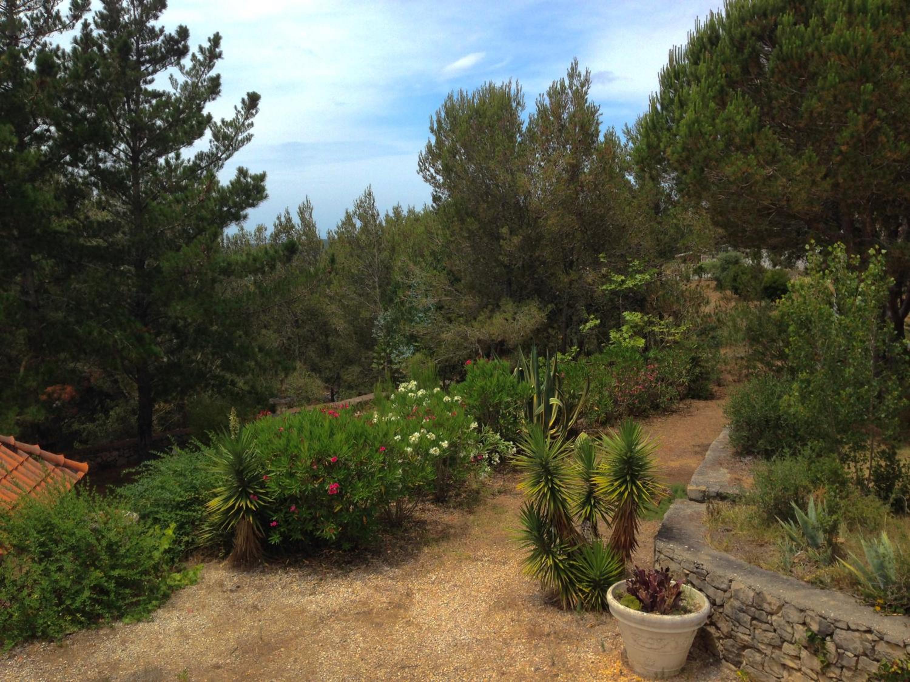 Wavin' Trees Ericeira view 3