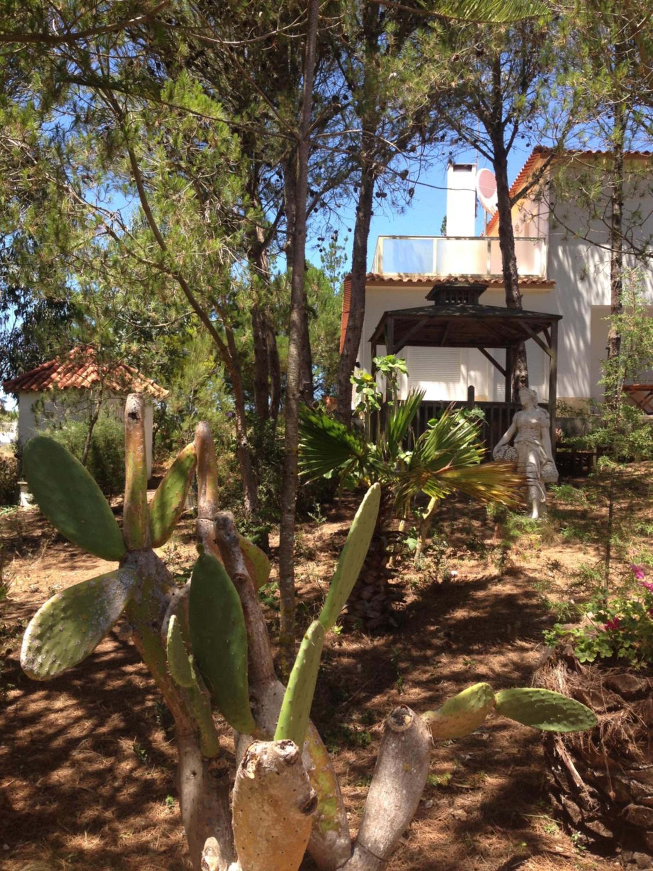 Photo 46
