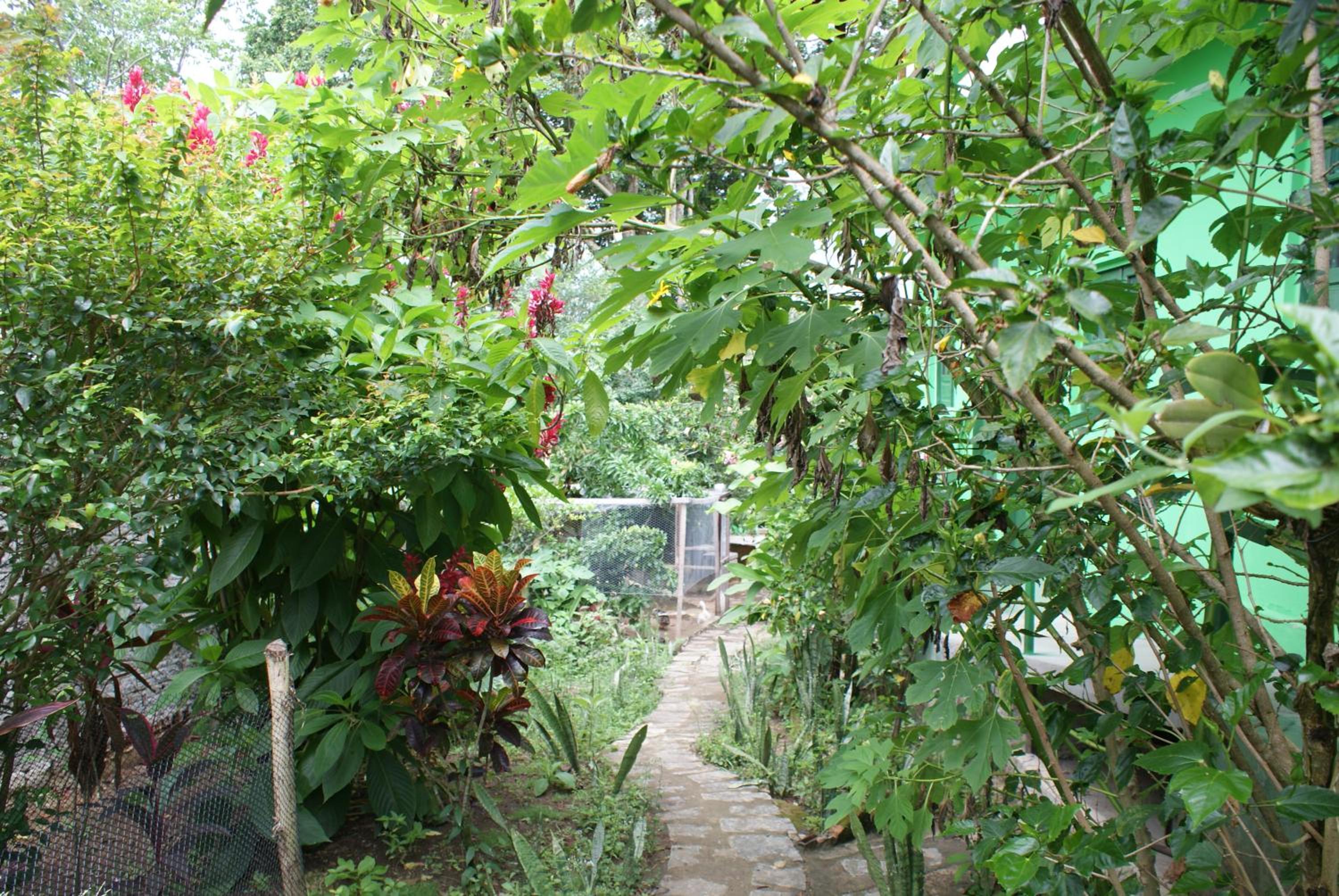 Photo 14