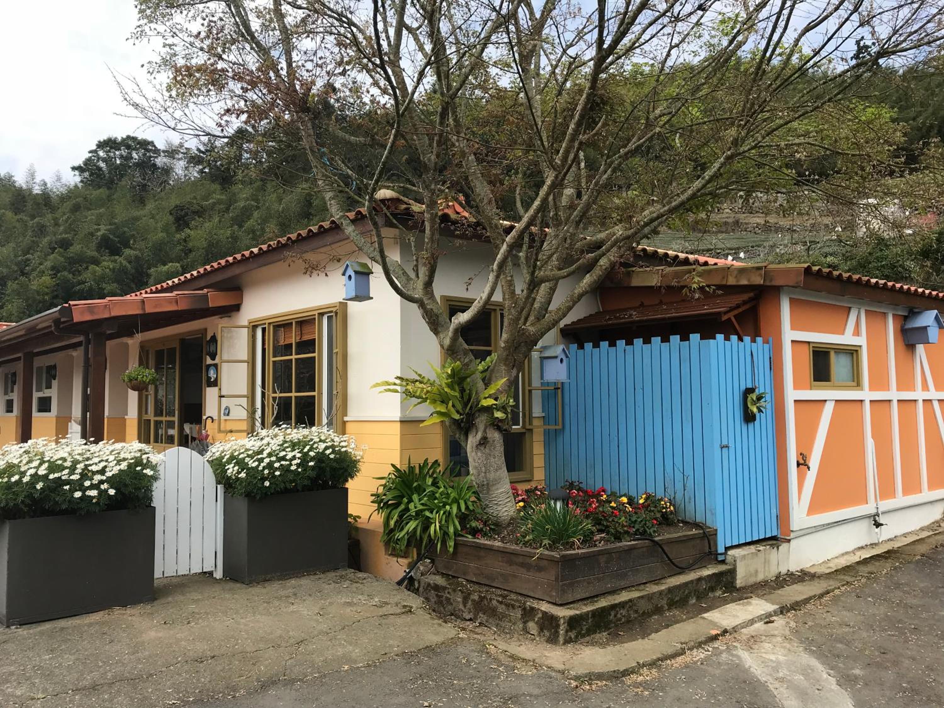 Alishan Tea Garden B&B