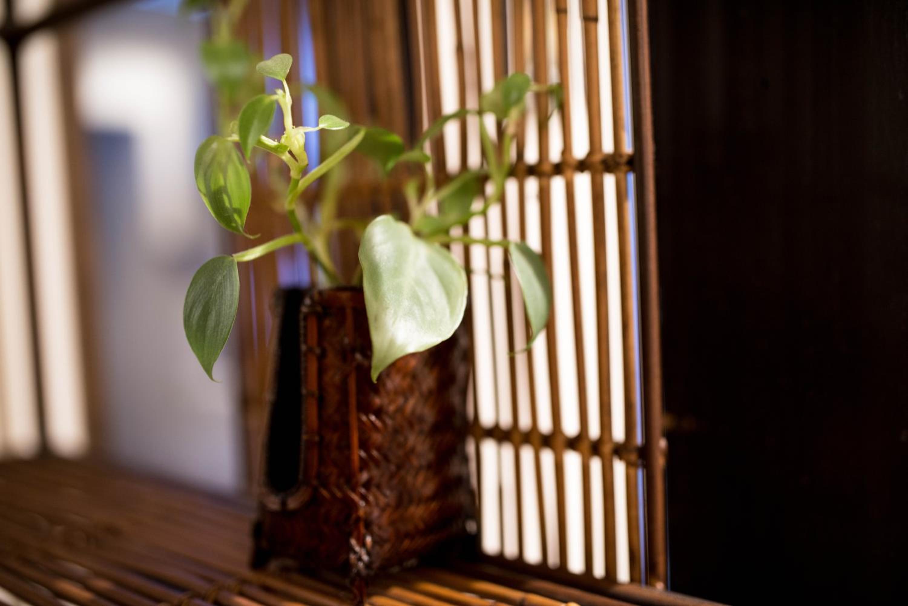 KYOTO Kazenoya Sara