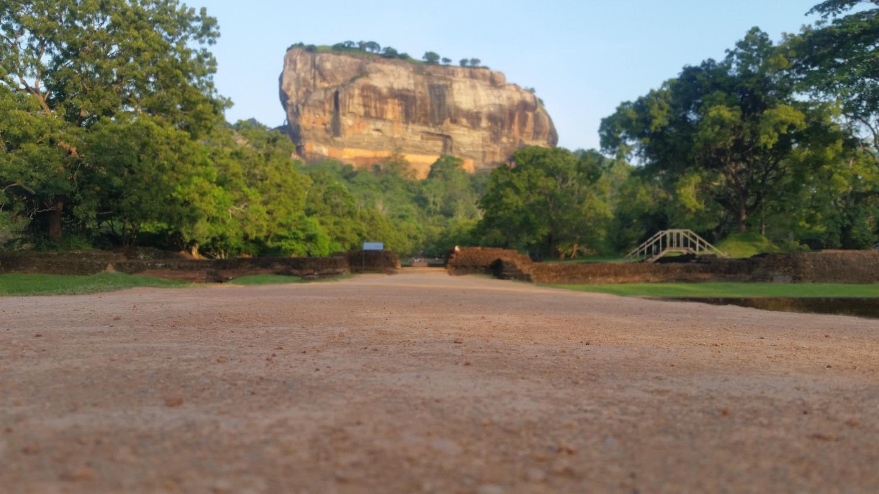 Fairview Dill homestay
