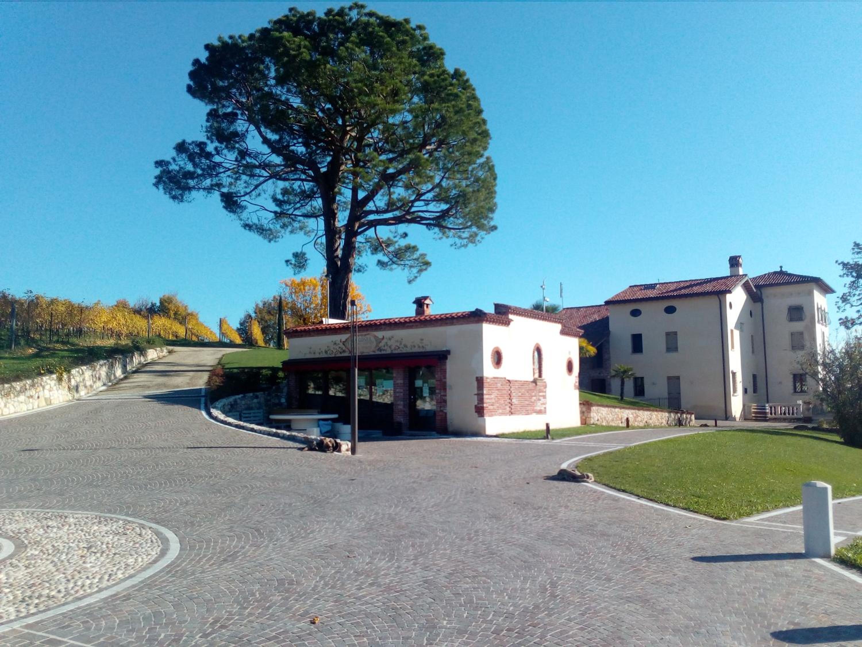 Photo 43