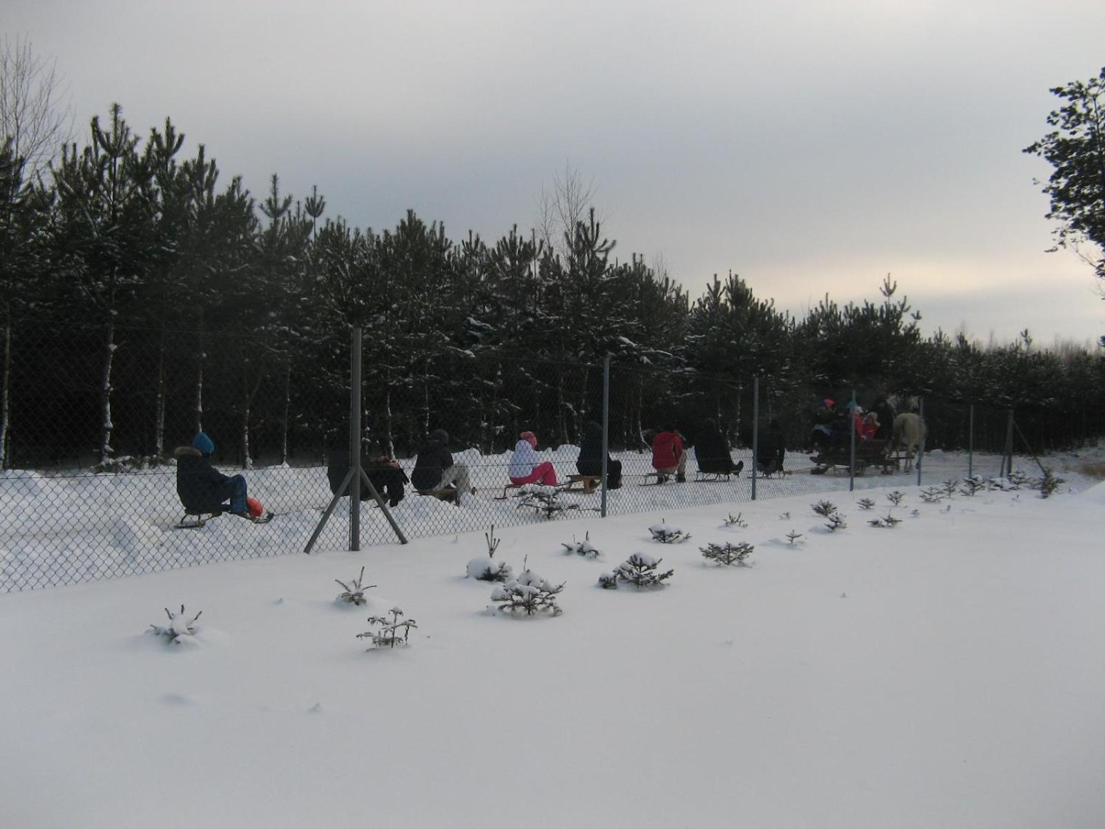 Photo 41