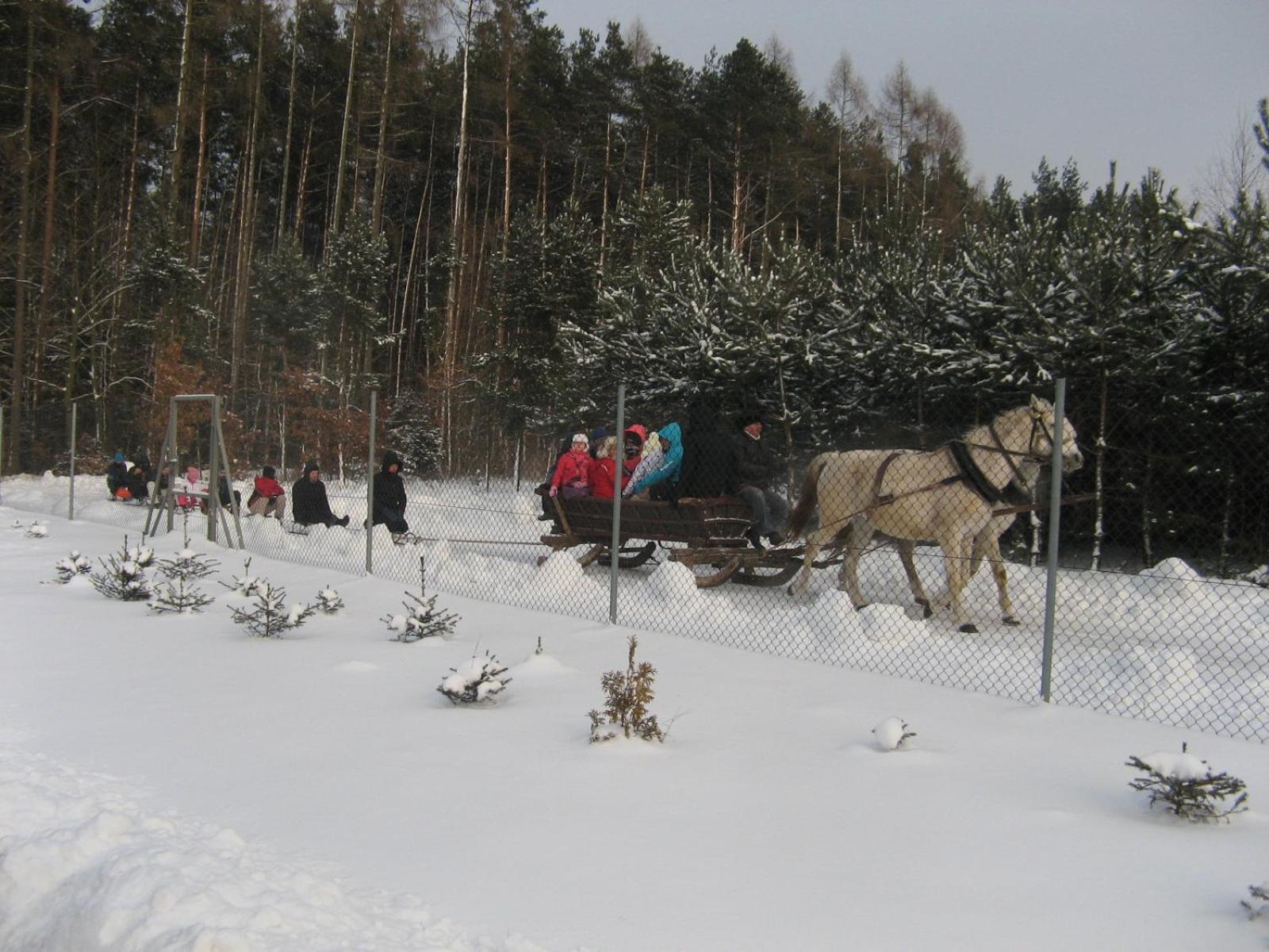 Photo 40