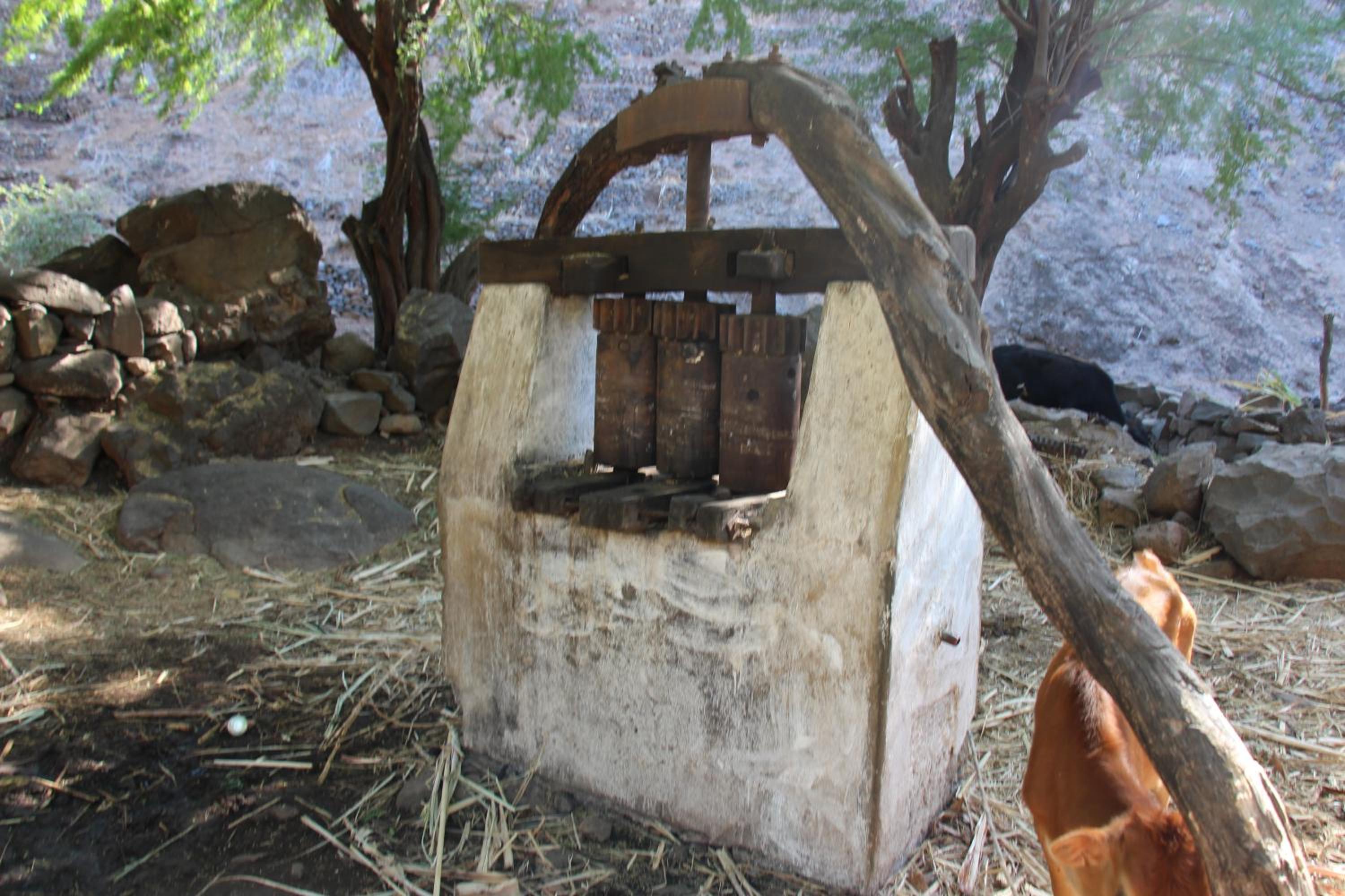 Pousada Quinta Ribeirinha
