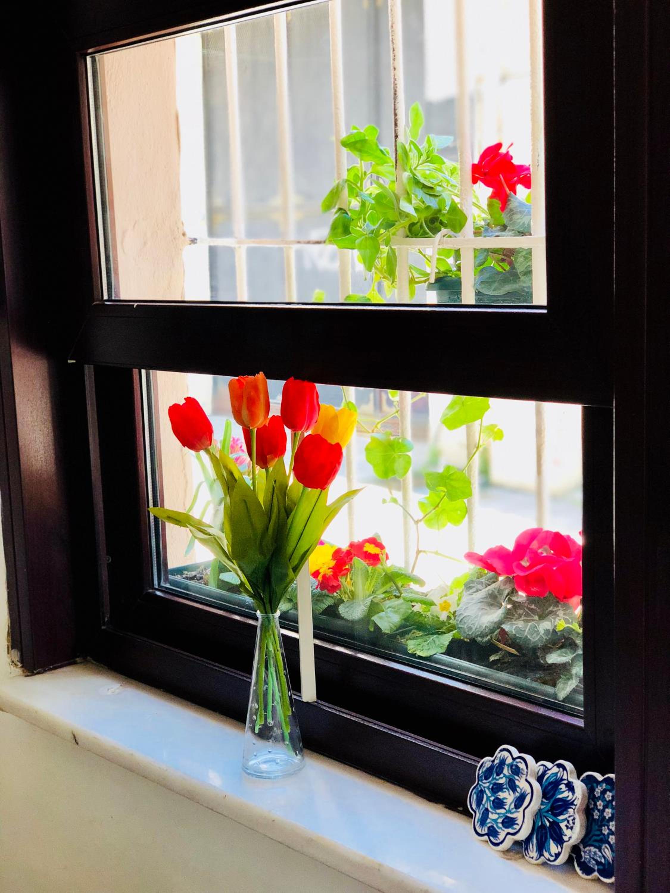 Tulpan Evi - Image 41