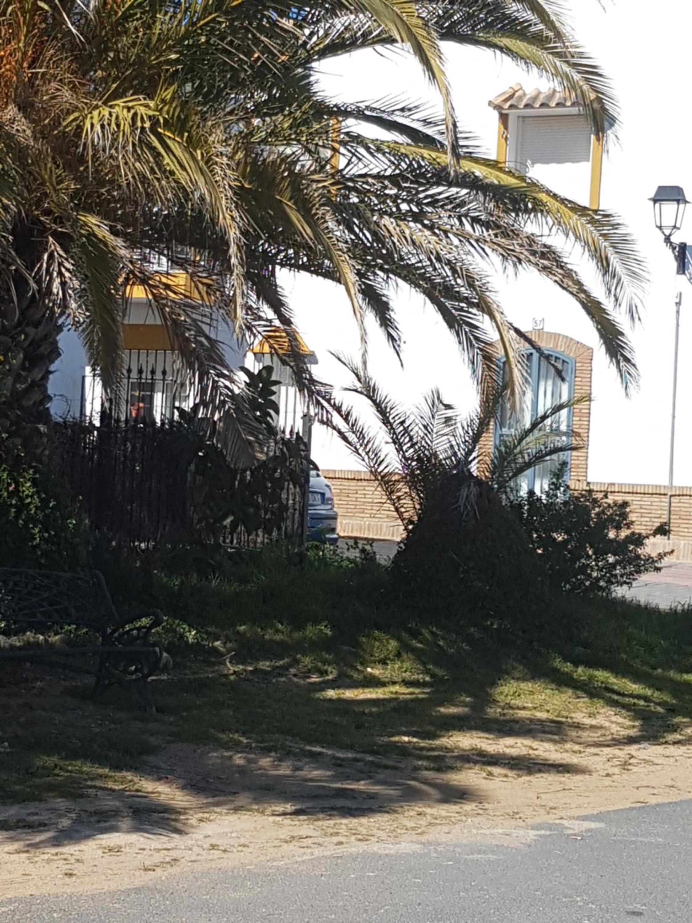 Photo 16