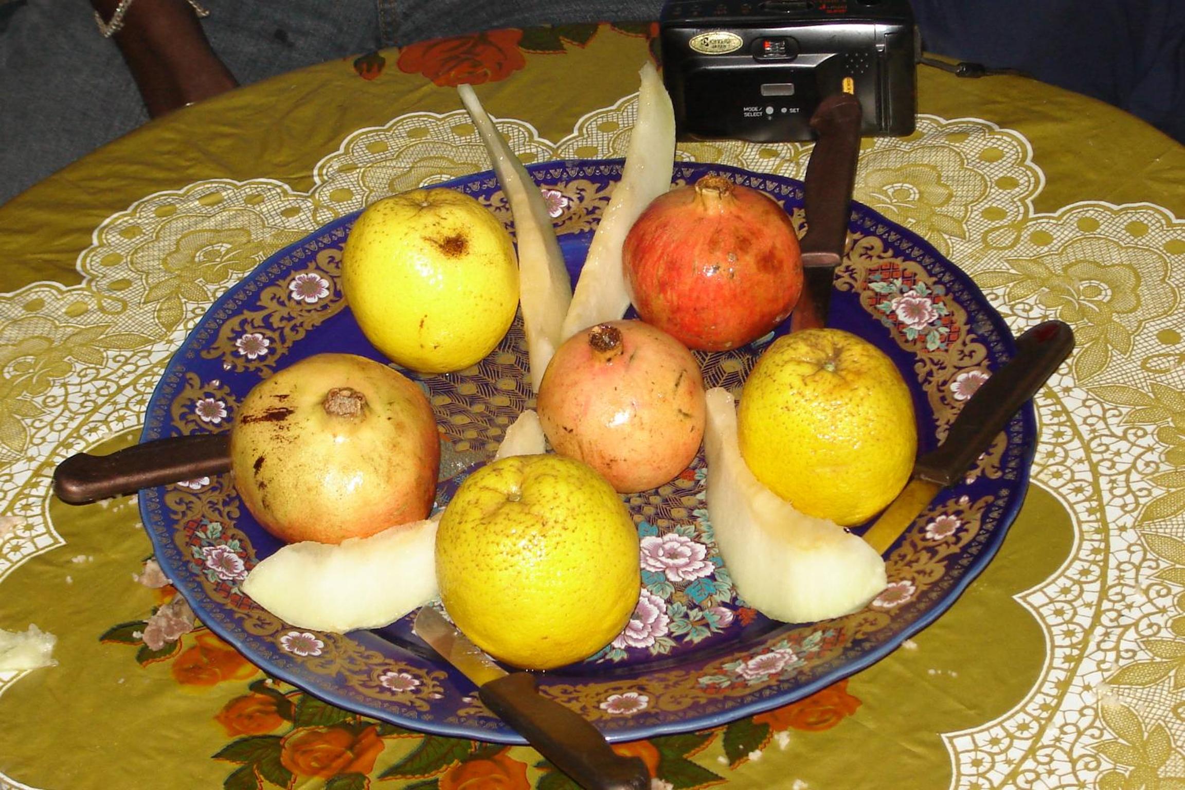 Photo 48