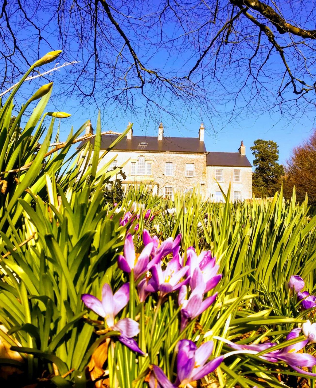 Hotel Dunmore Gardens - Image 1