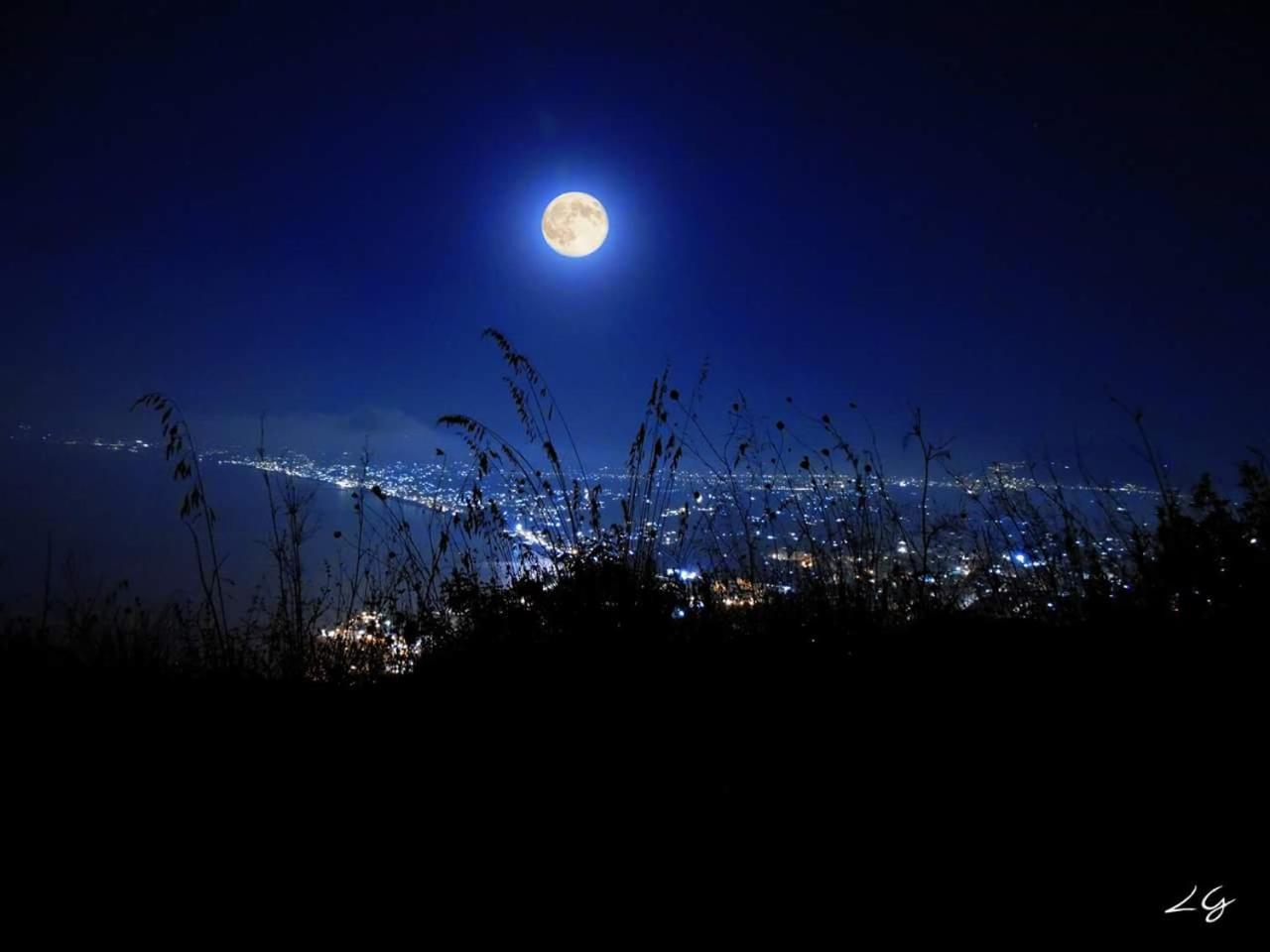 Photo 48