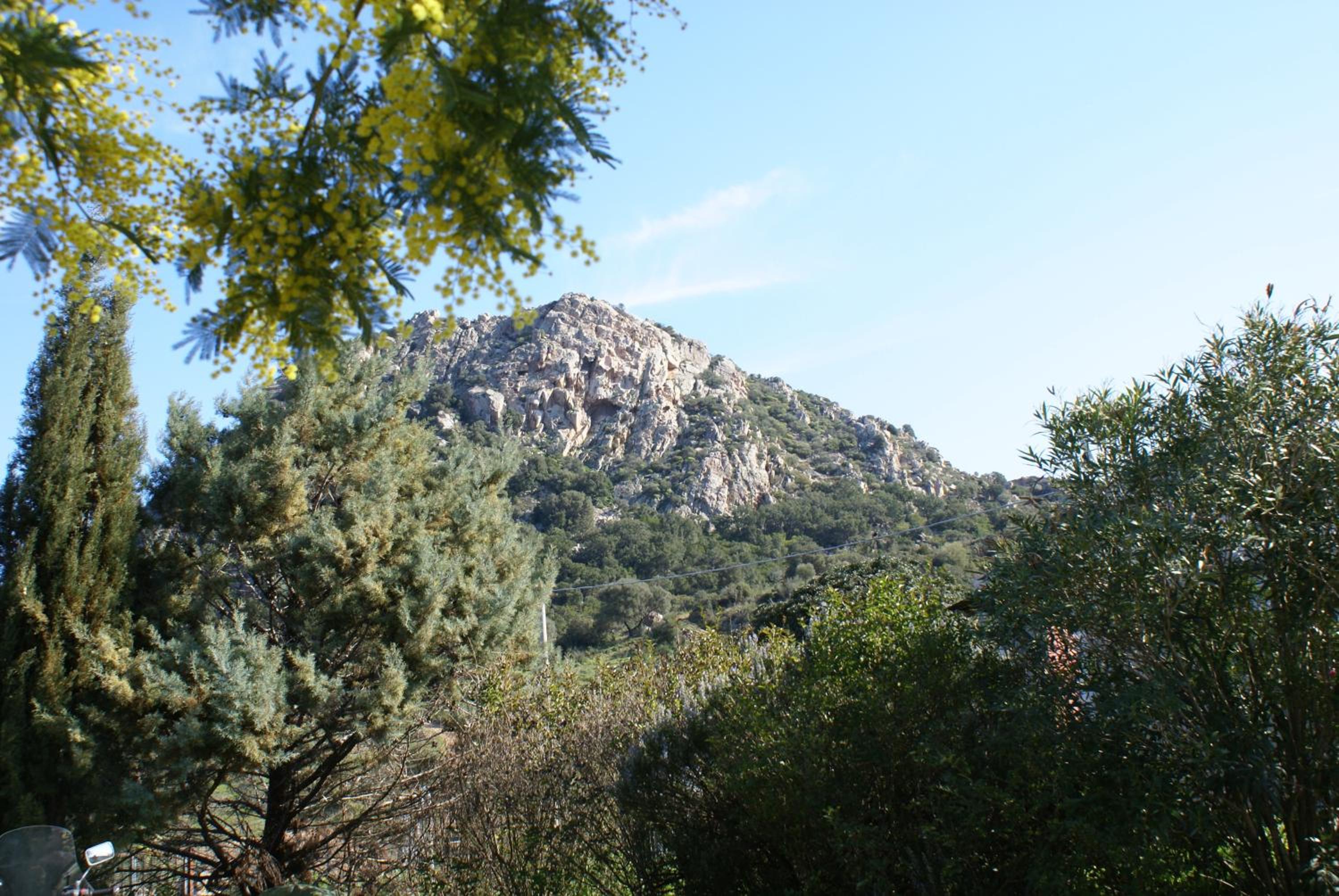 Photo 30