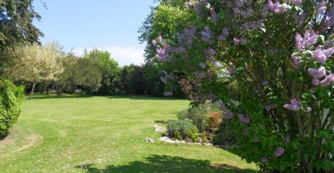 Les Vieilles Ombres - Property Image 32