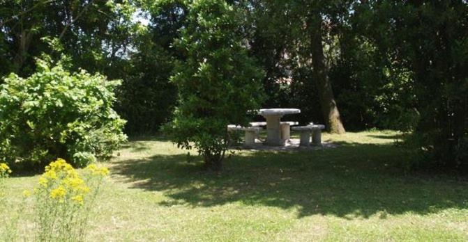 Les Vieilles Ombres - Property Image 33