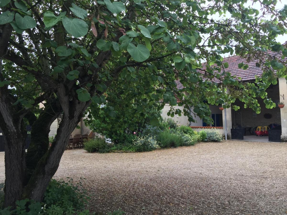 Les Vieilles Ombres - Property Image 34