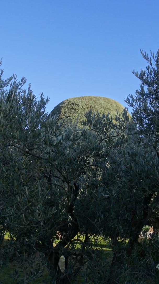 Photo 22