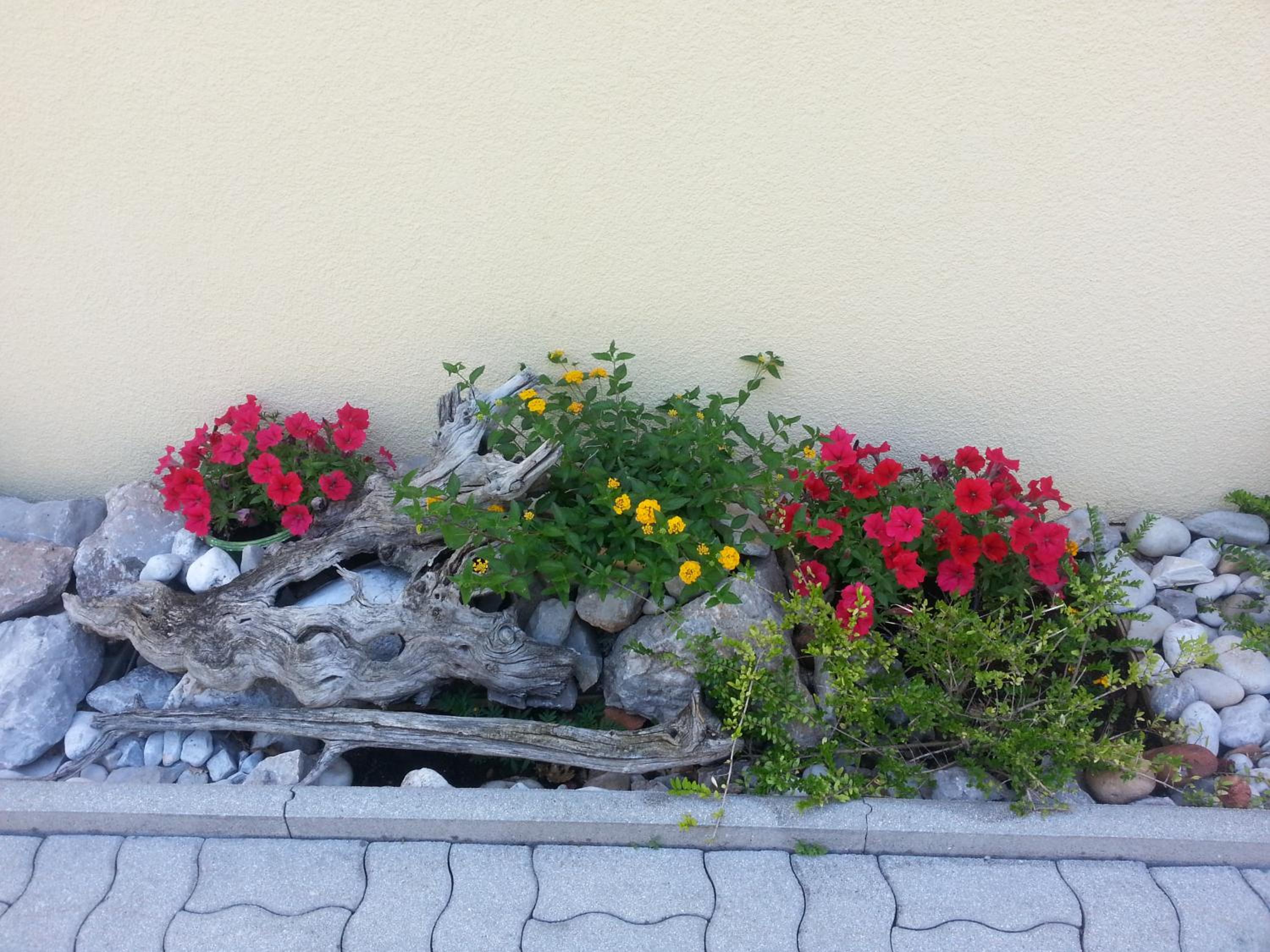 Photo 66