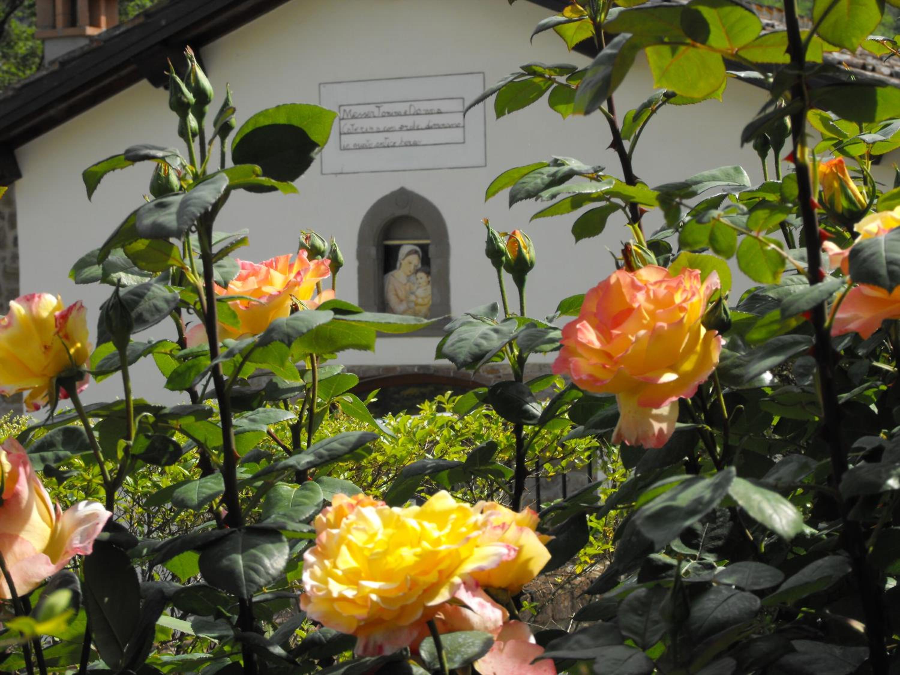 Casa Vacanze Borgo la Fratta