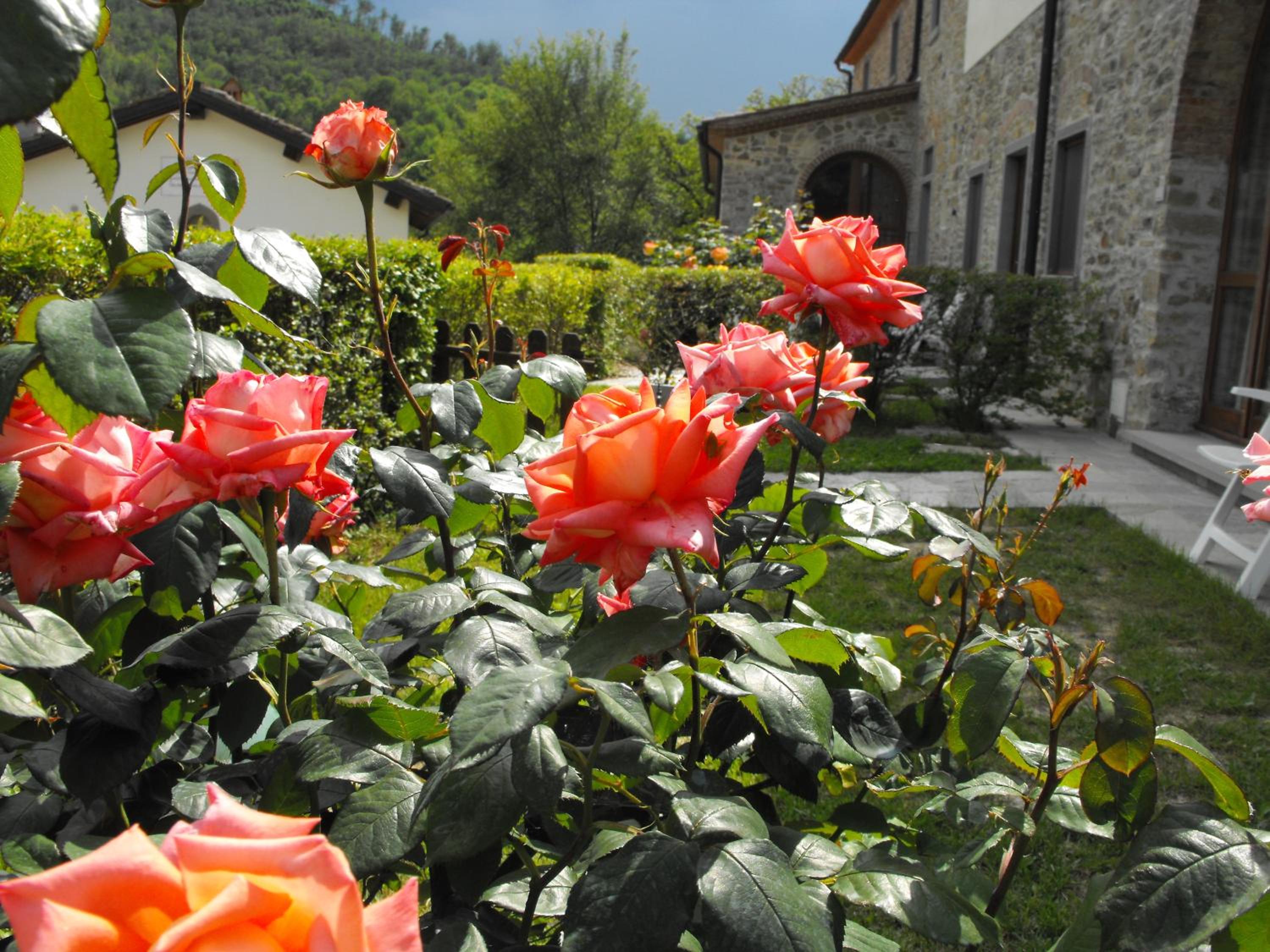Casa Vacanze Borgo la Fratta